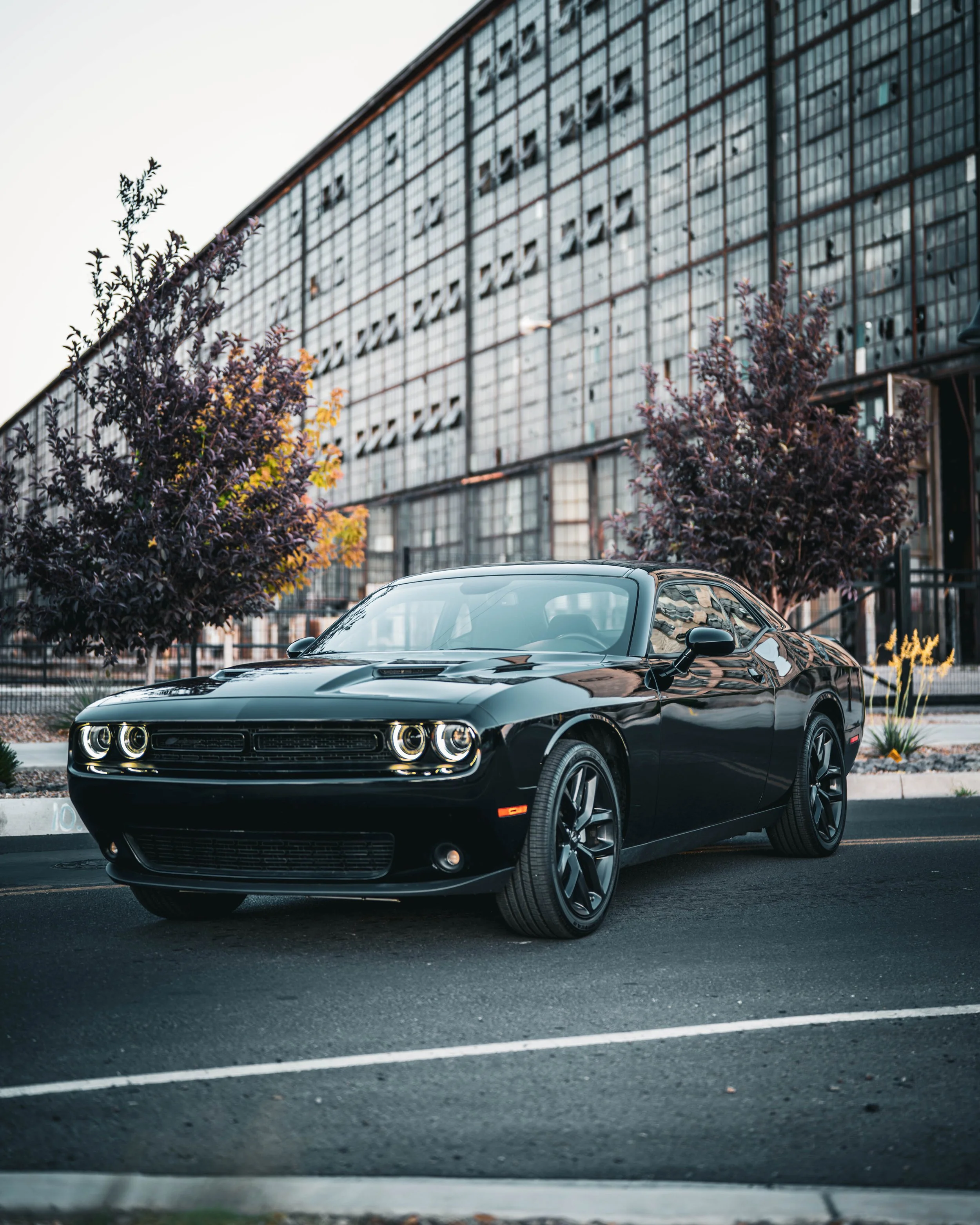 Portfolio Cover Page-04.jpg