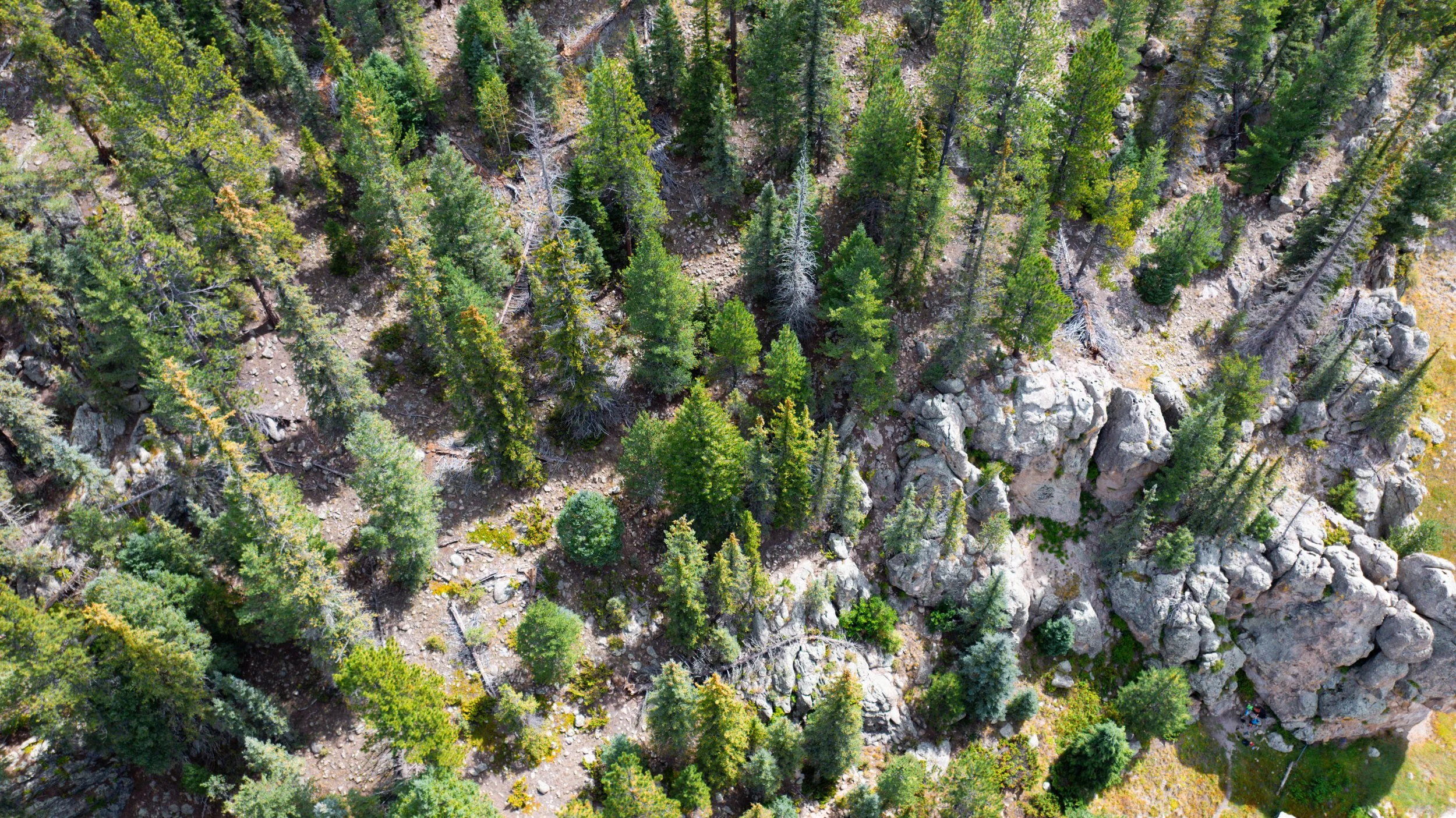 Portfolio Cover Page-11.jpg