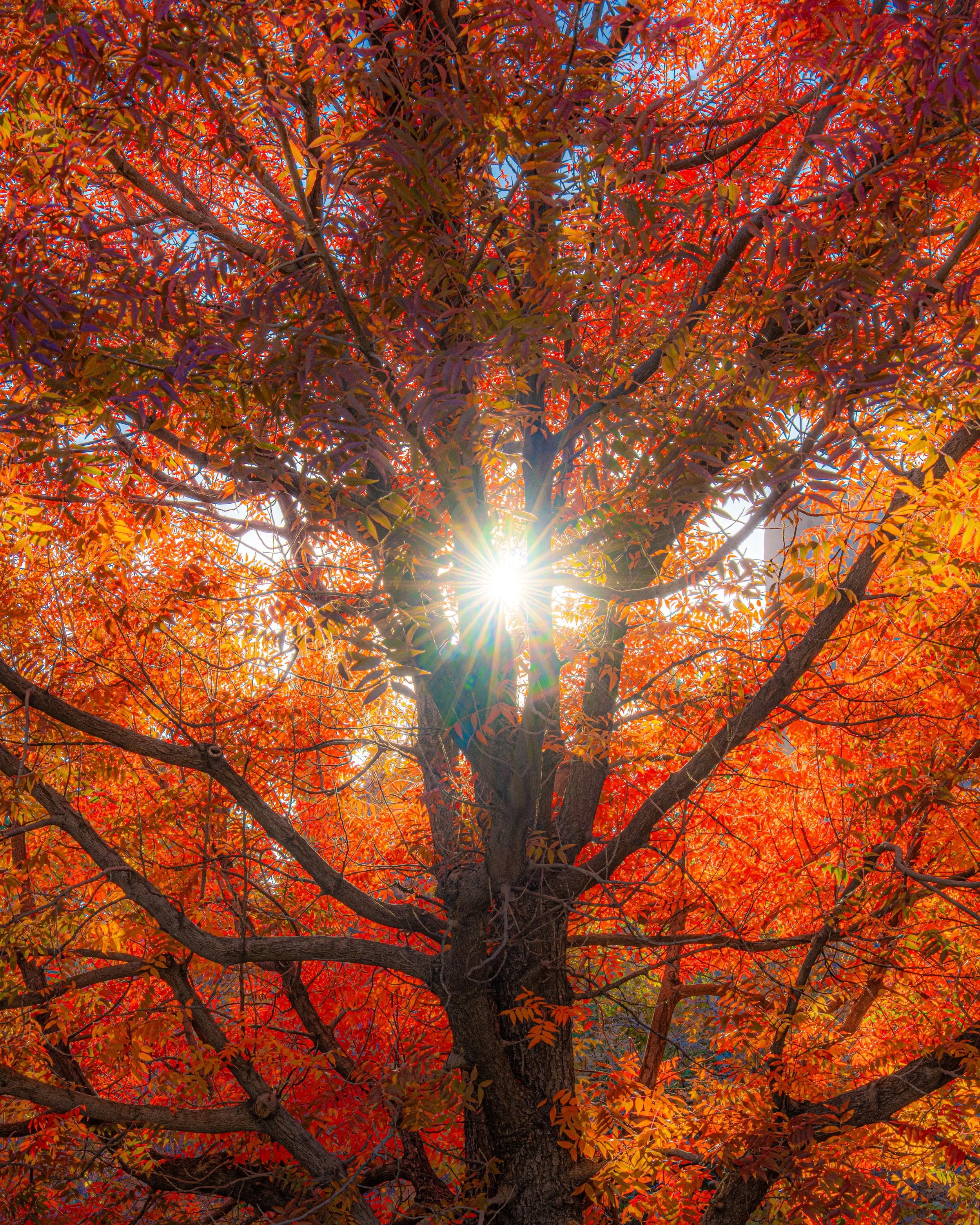 Portfolio Cover Page-47.jpg