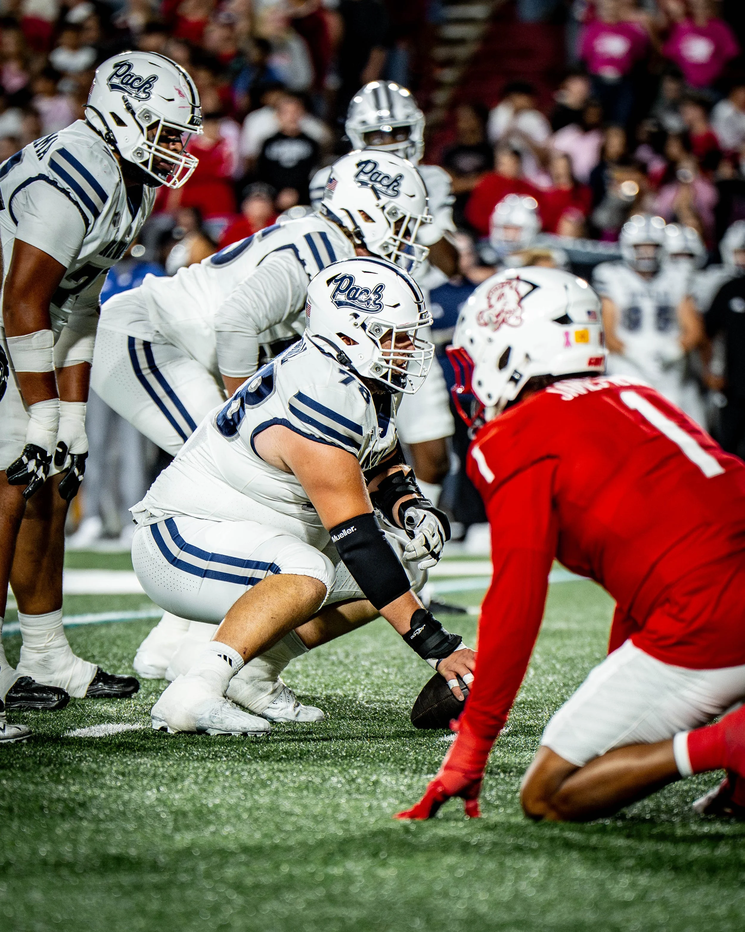 Portfolio Cover Page-29.jpg