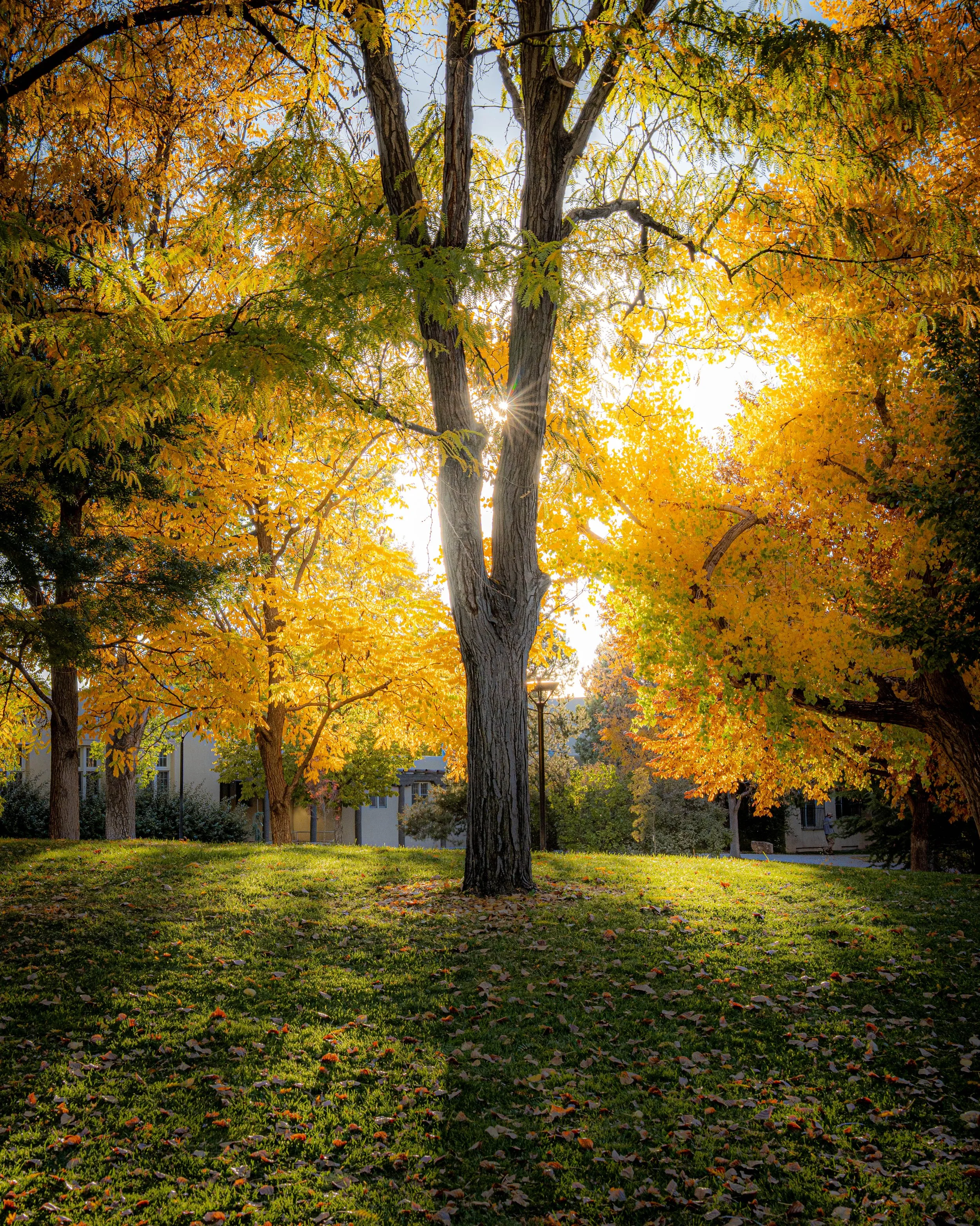 Portfolio Cover Page-46.jpg