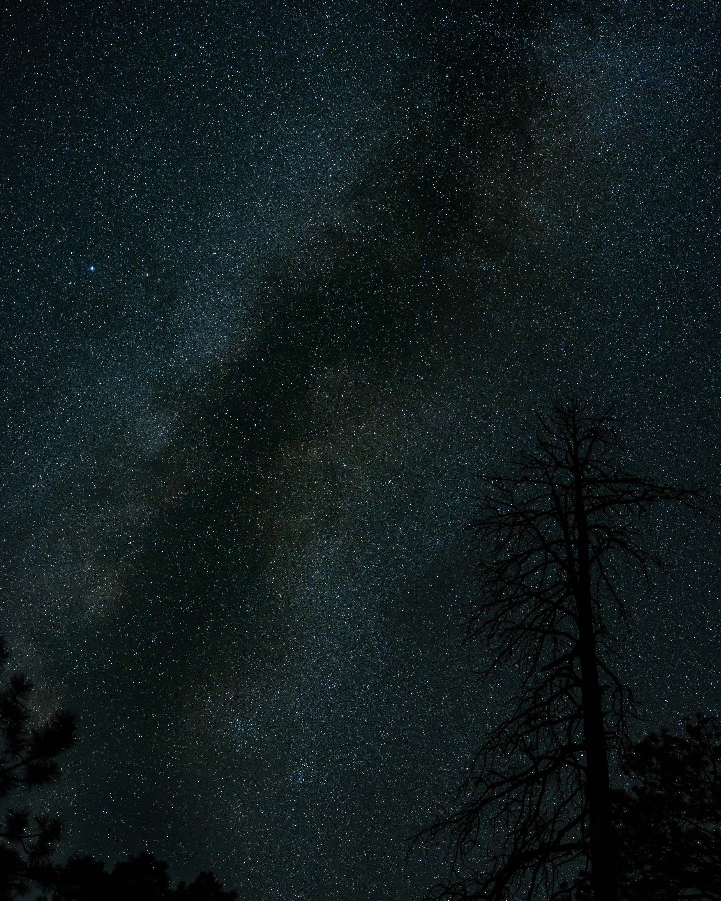 Portfolio Work-059.jpg