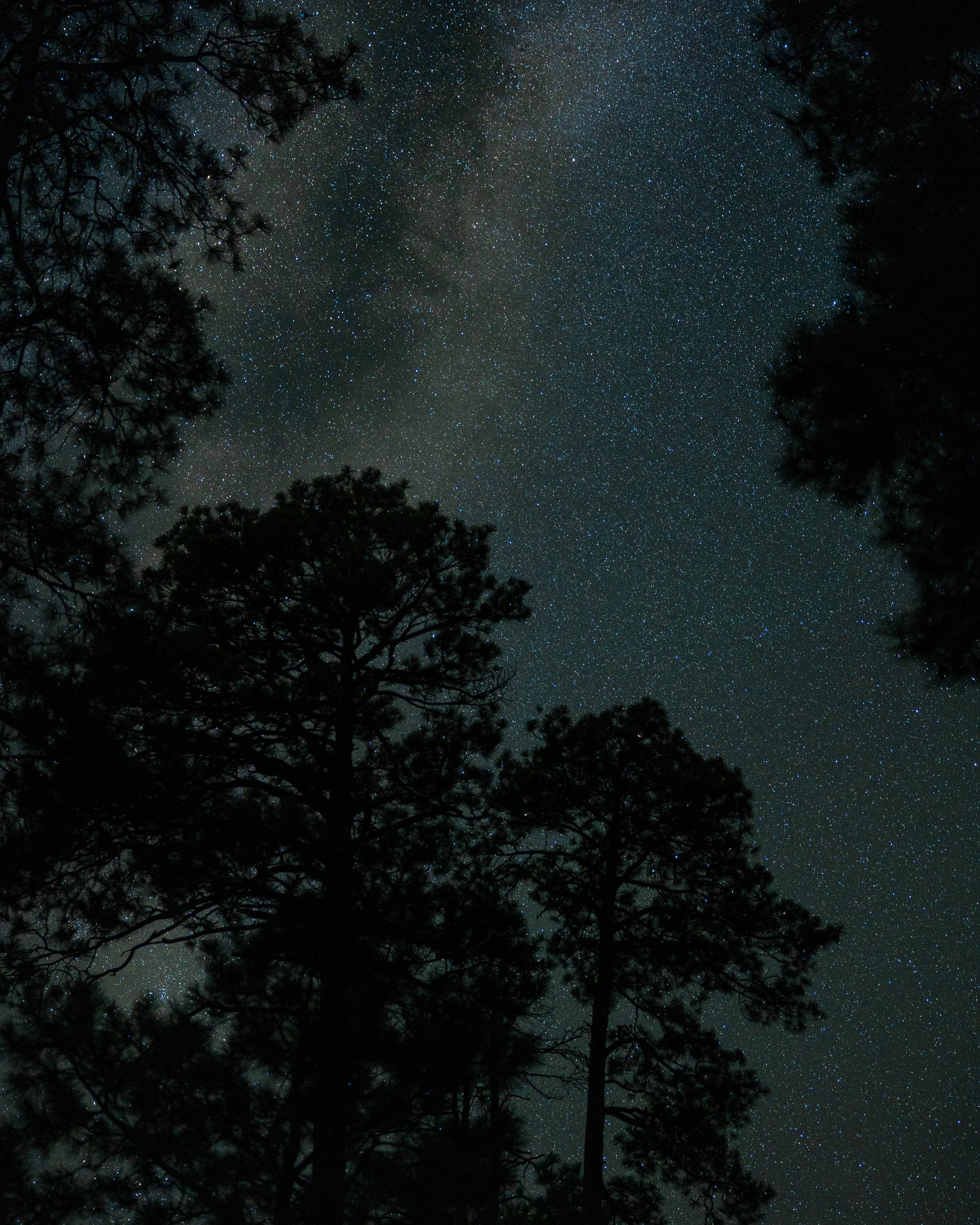 Portfolio Work-058.jpg