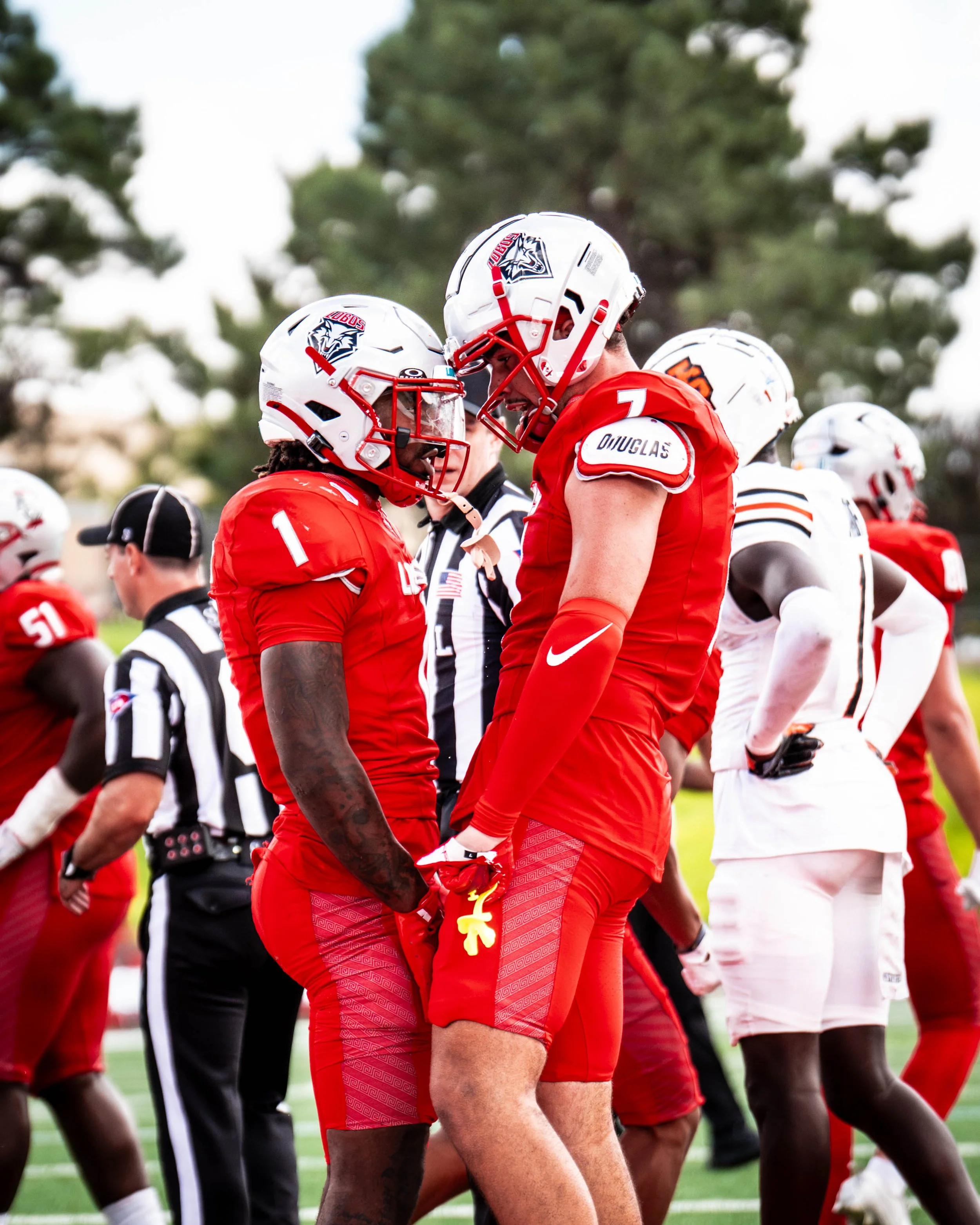 Portfolio Work-036.jpg