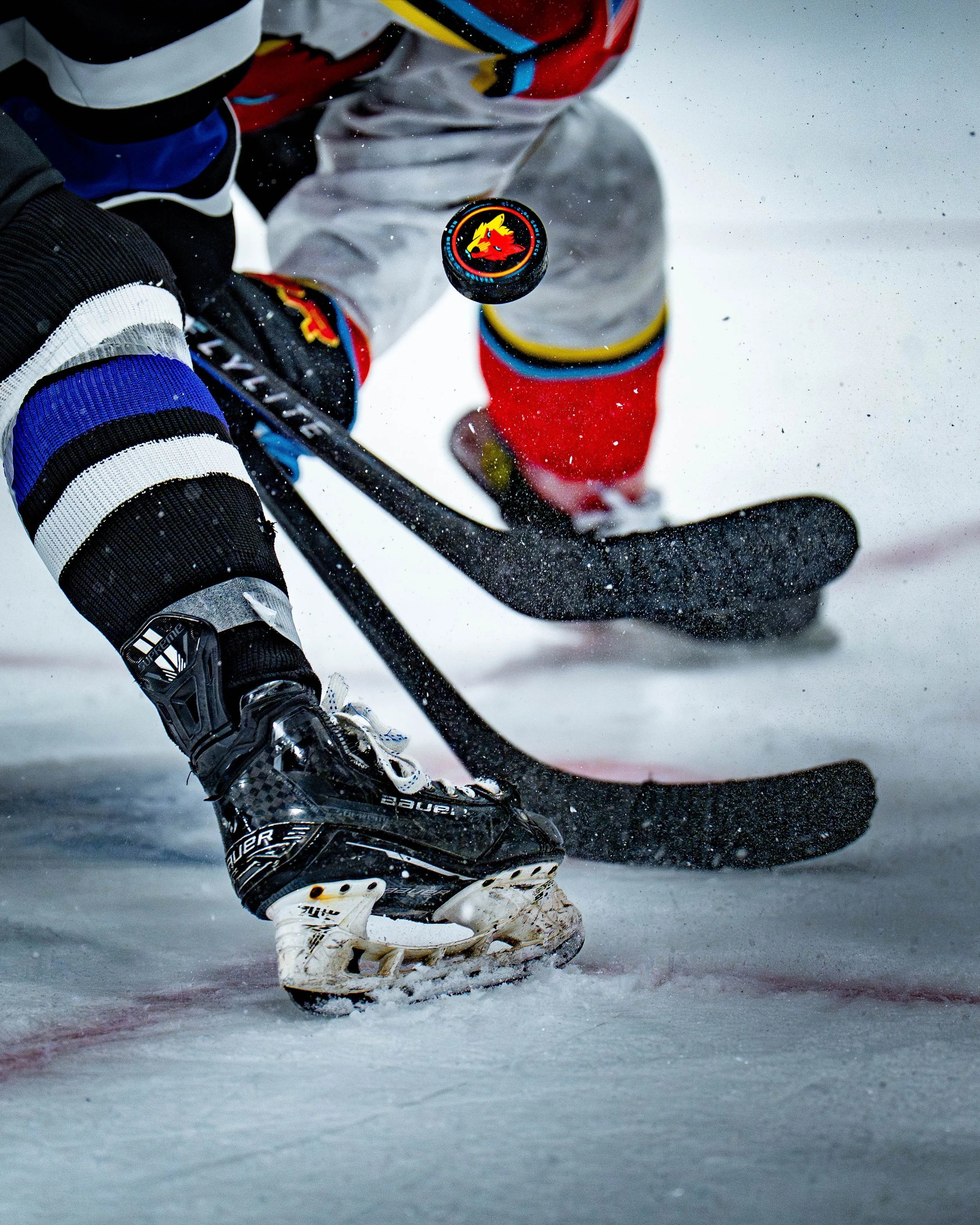 Portfolio Work-090.jpg