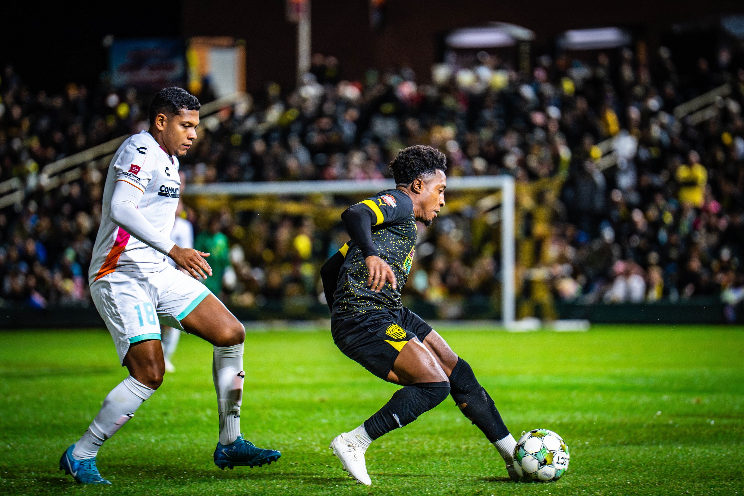 Portfolio Cover Page-41.jpg