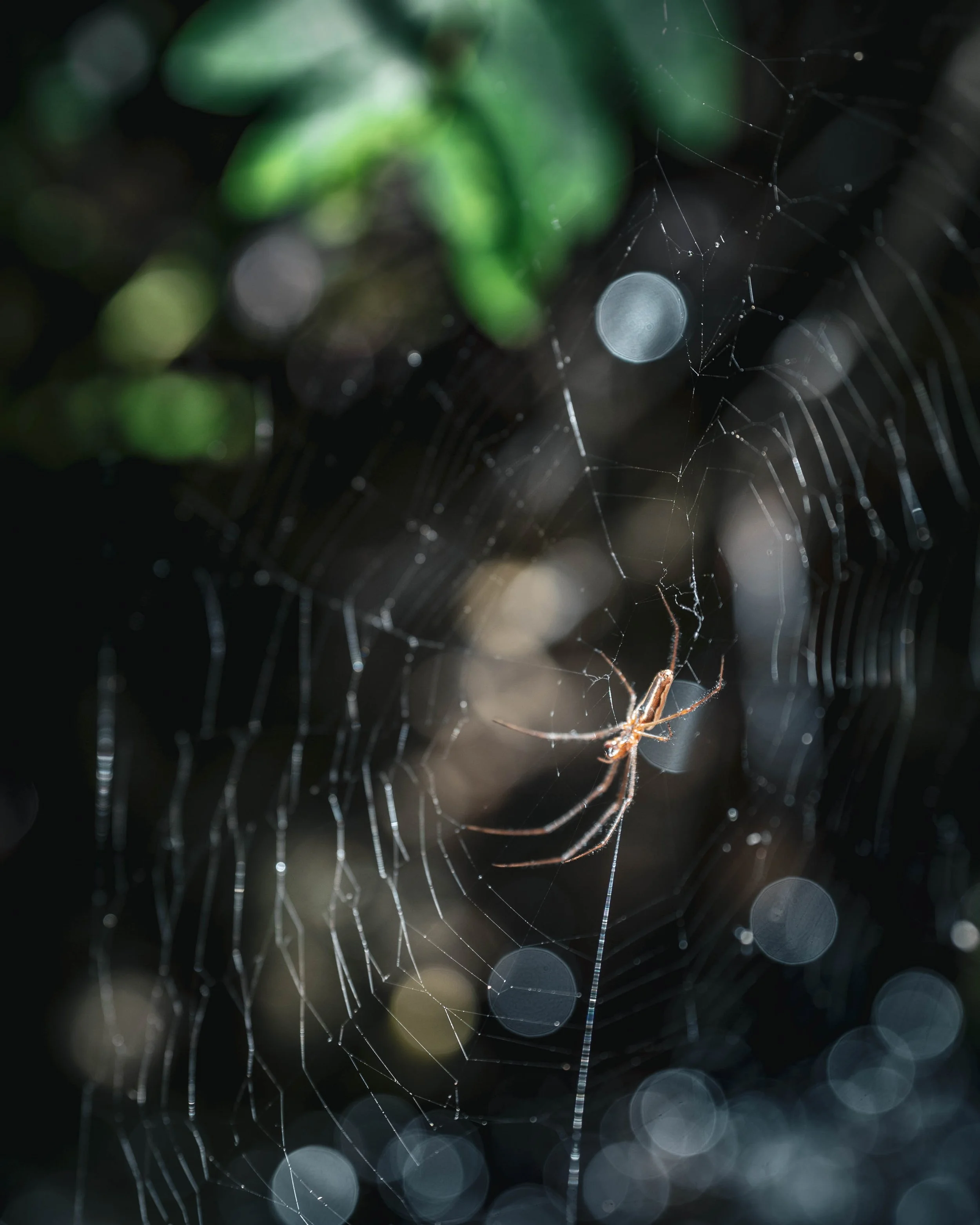 Portfolio Work-013.jpg