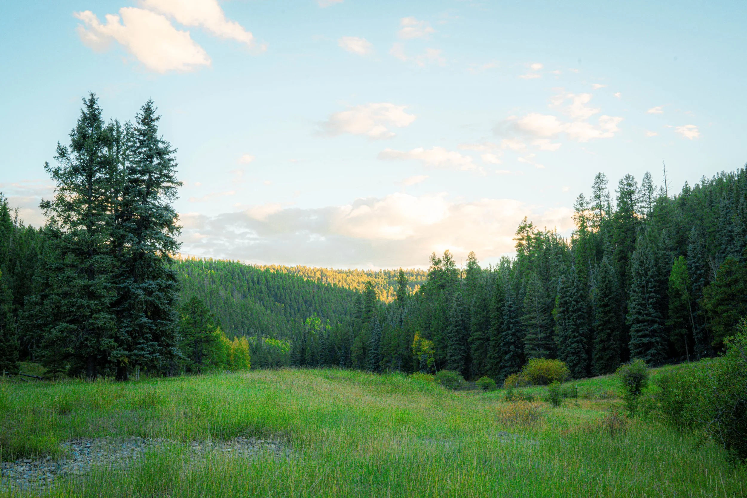 Portfolio Work-057.jpg