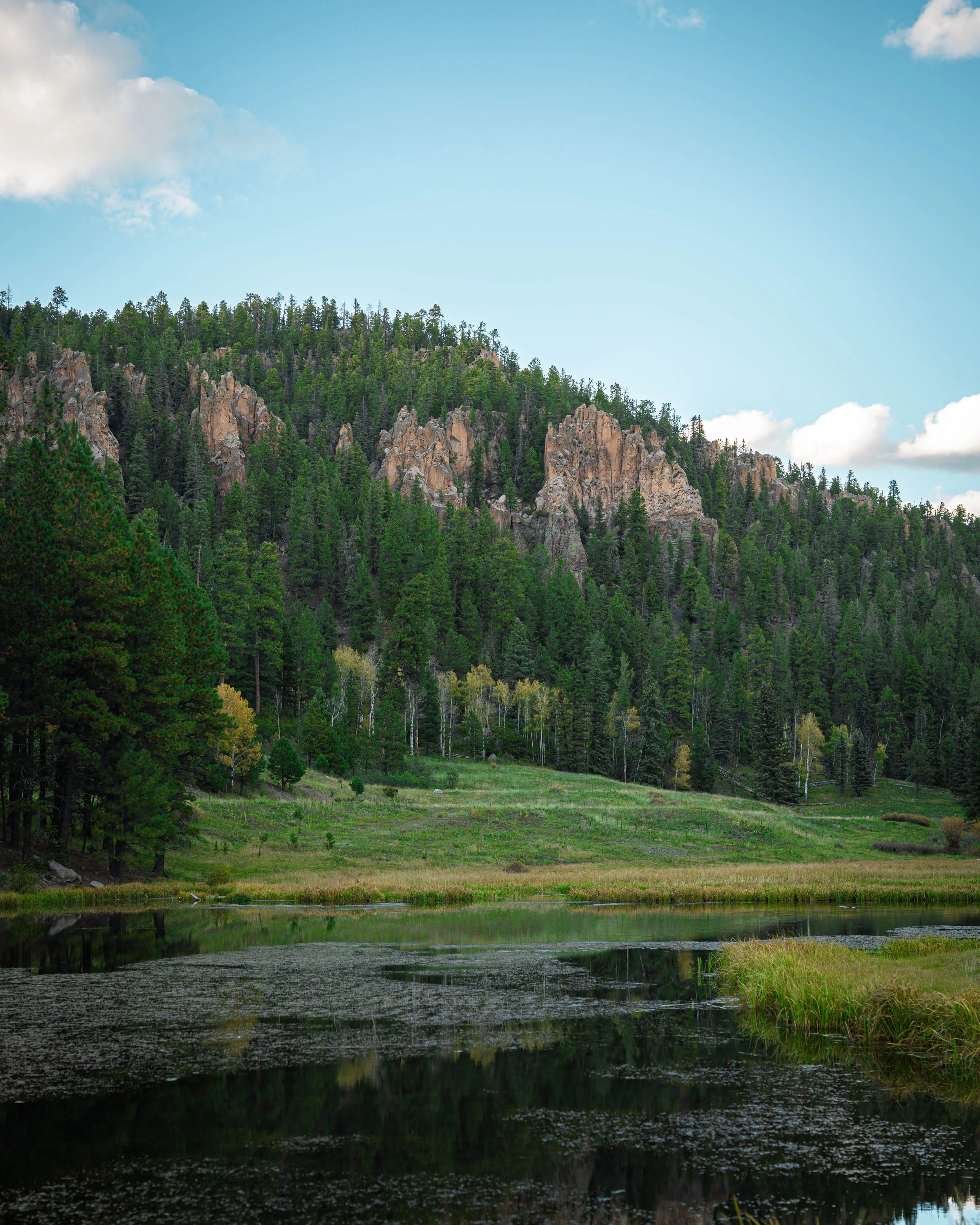 Portfolio Cover Page-21.jpg