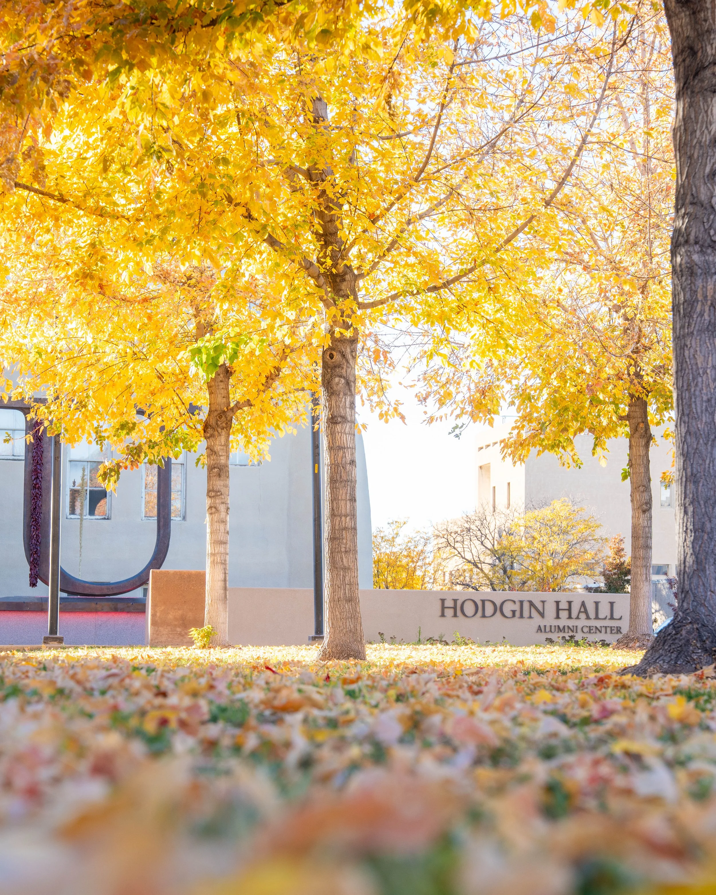 Portfolio Cover Page-45.jpg