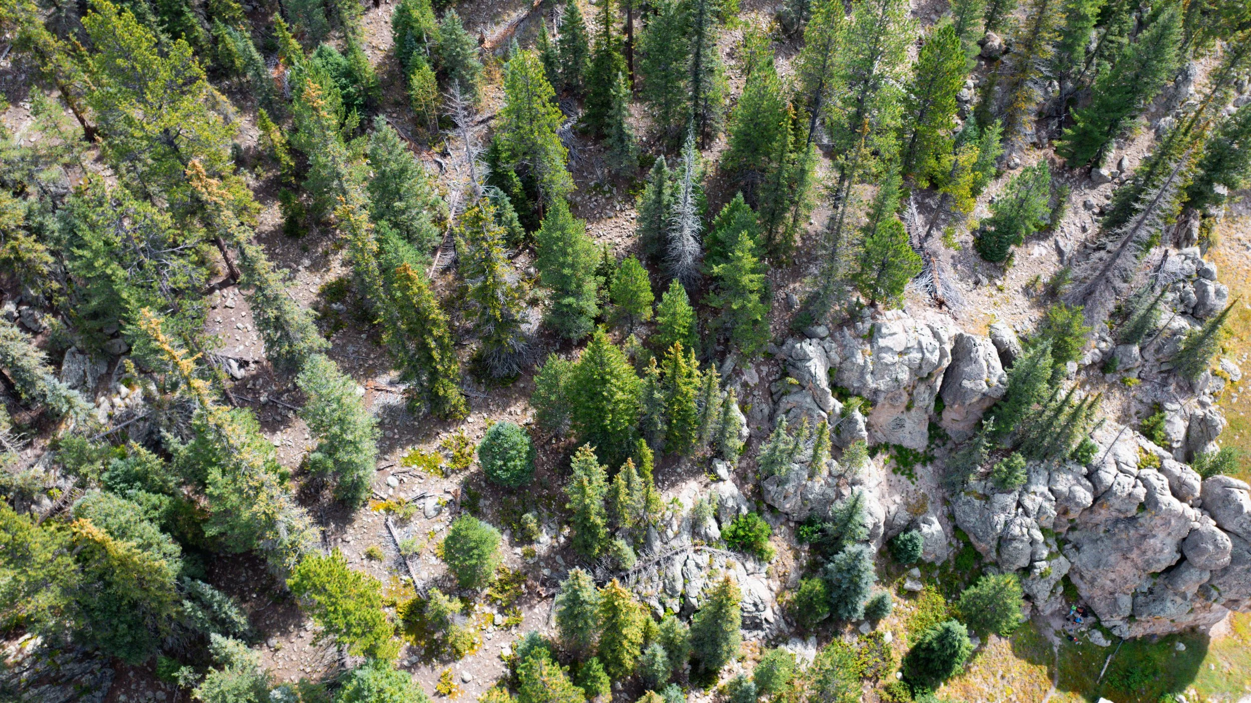 Portfolio Work-033.jpg