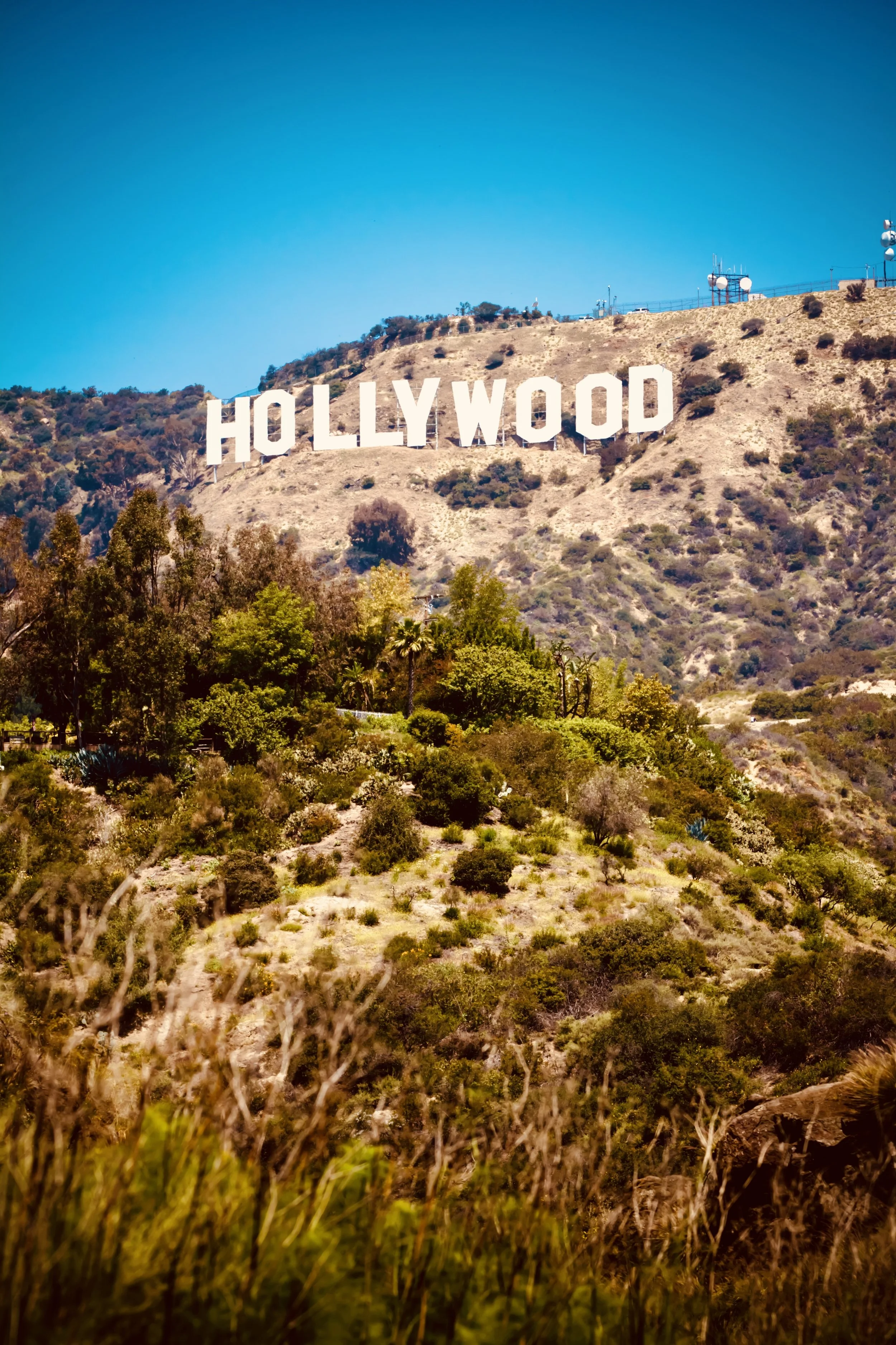 View of the Hollywood Sign on a hillside with sparse vegetation under a clear blue sky.