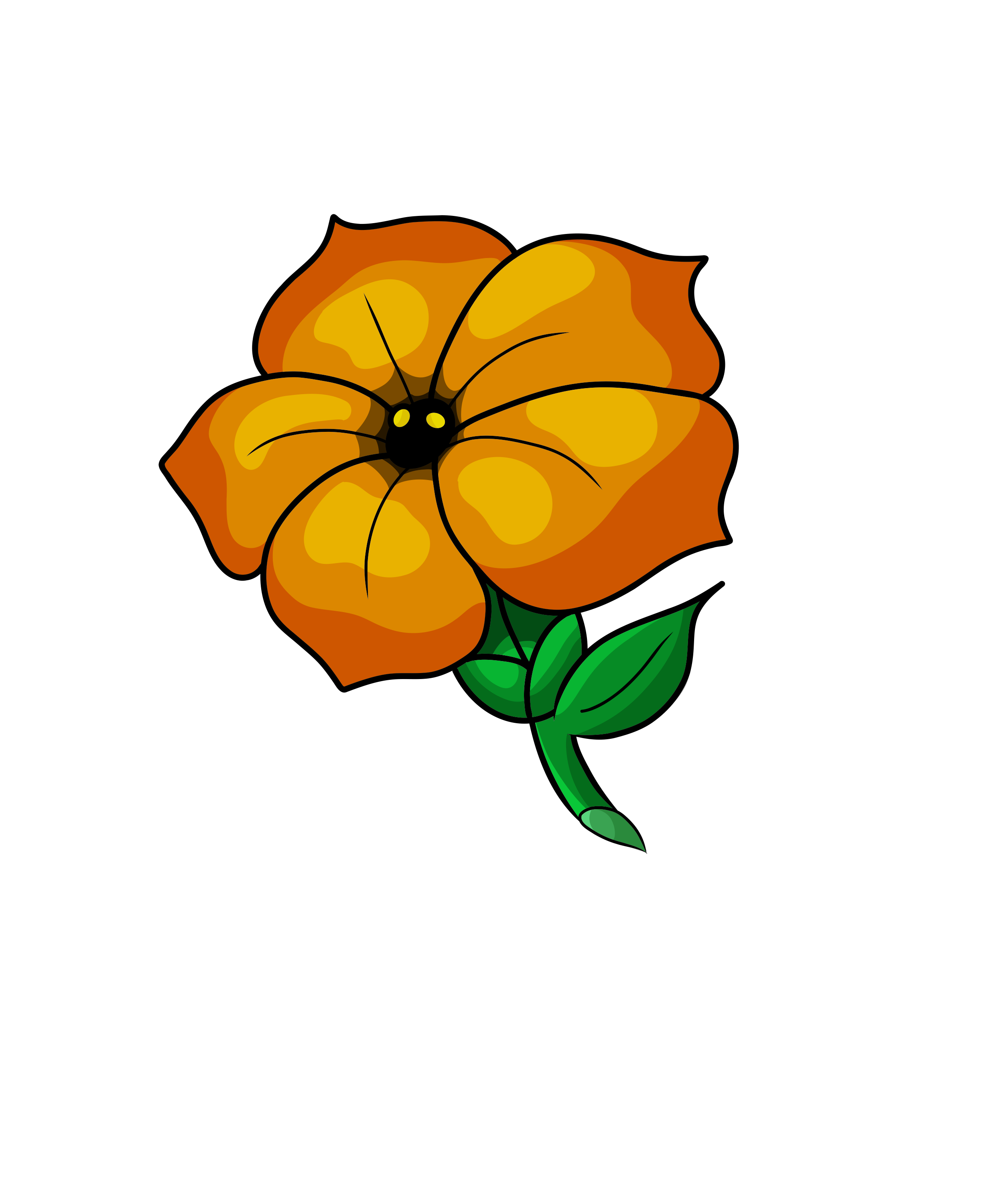 Hibiscus