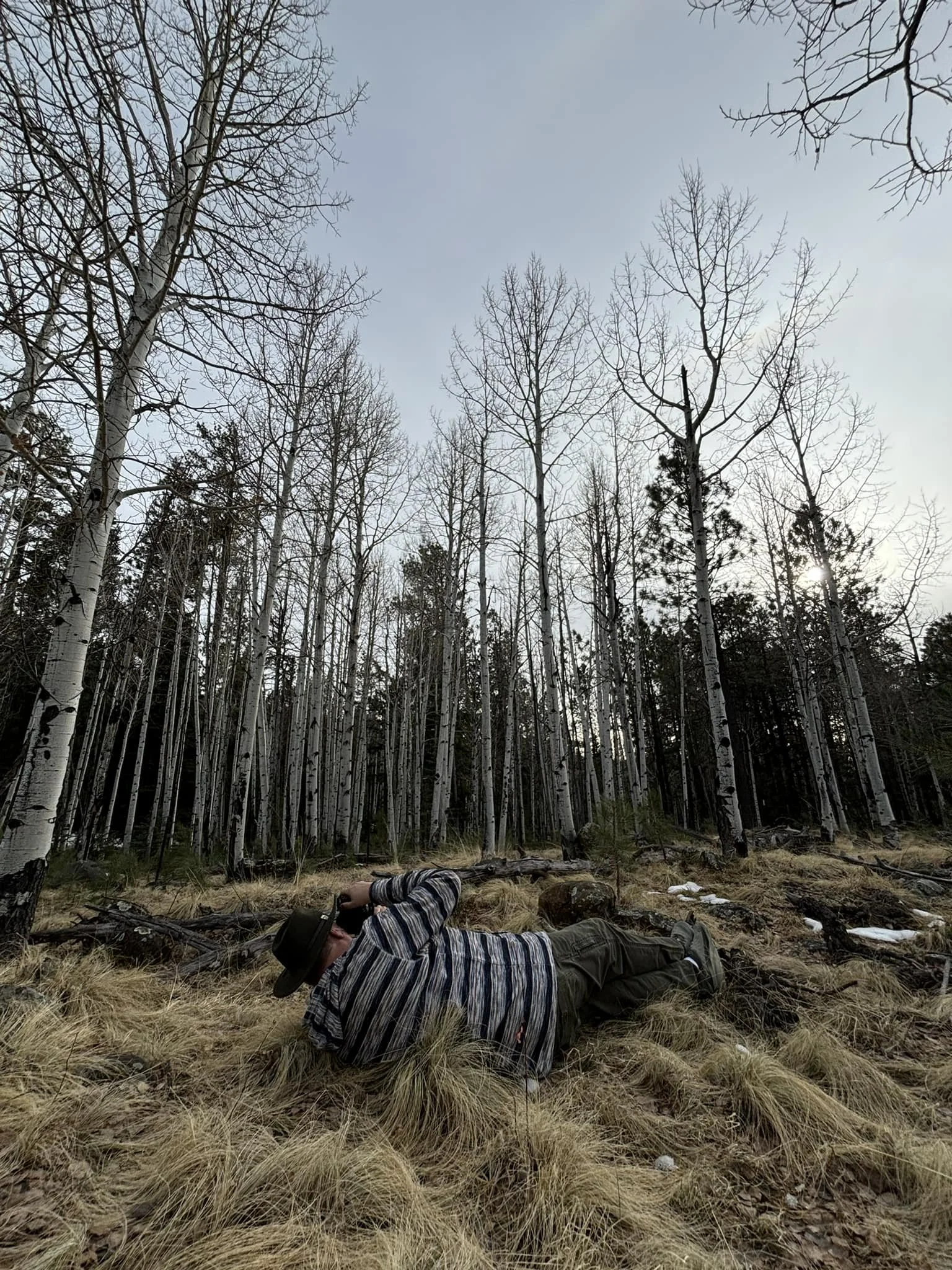 A person lying on the ground in a forested area with tall, leafless trees and dry grass, under a cloudy sky.