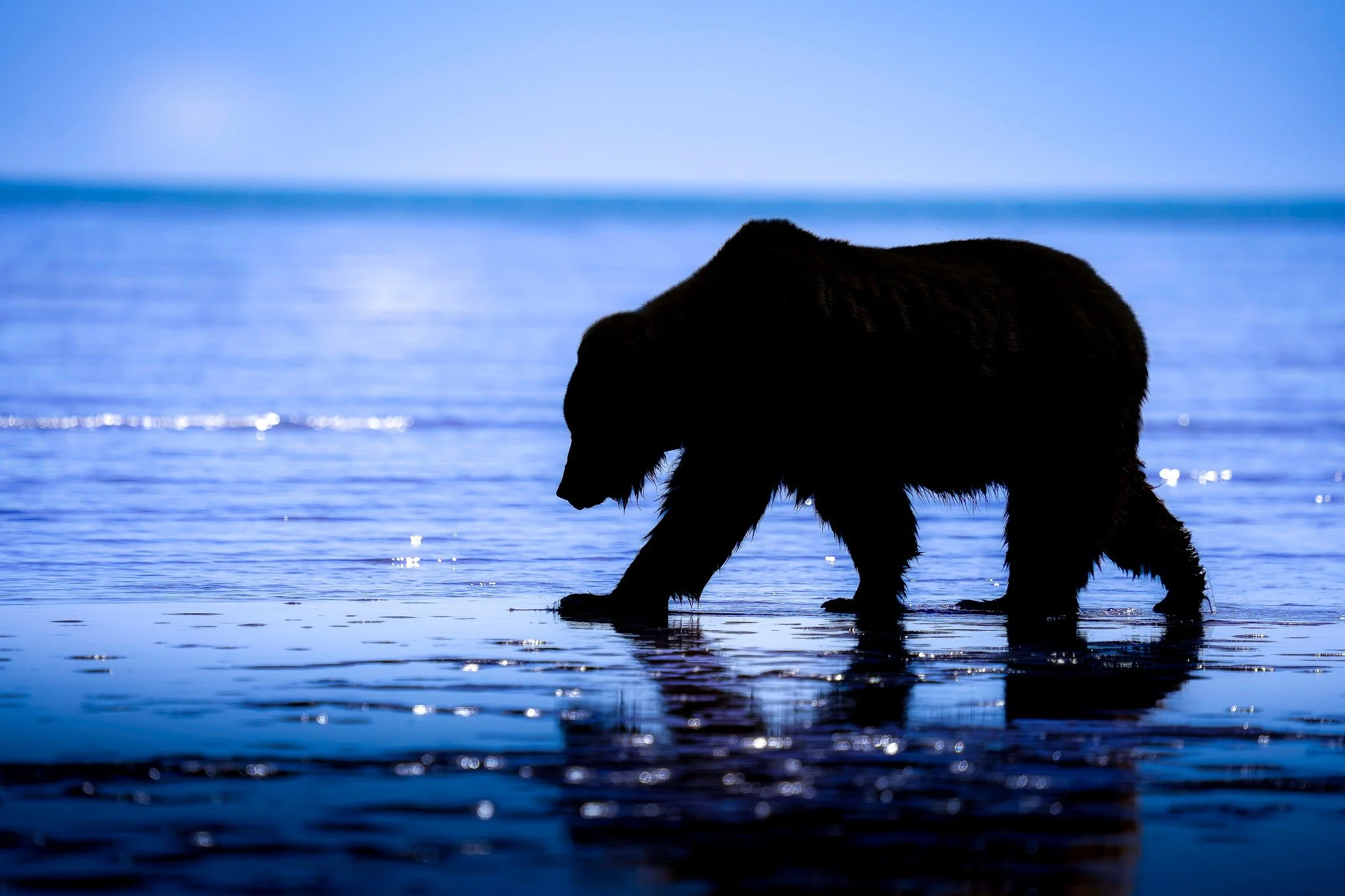 Title: The Phantom of the Tide