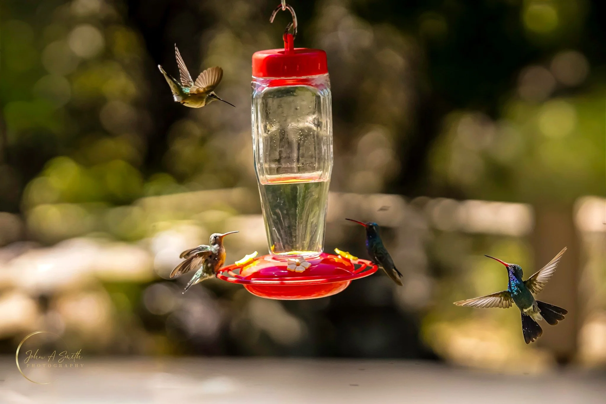 Size Doesn’t Decide What’s Possible