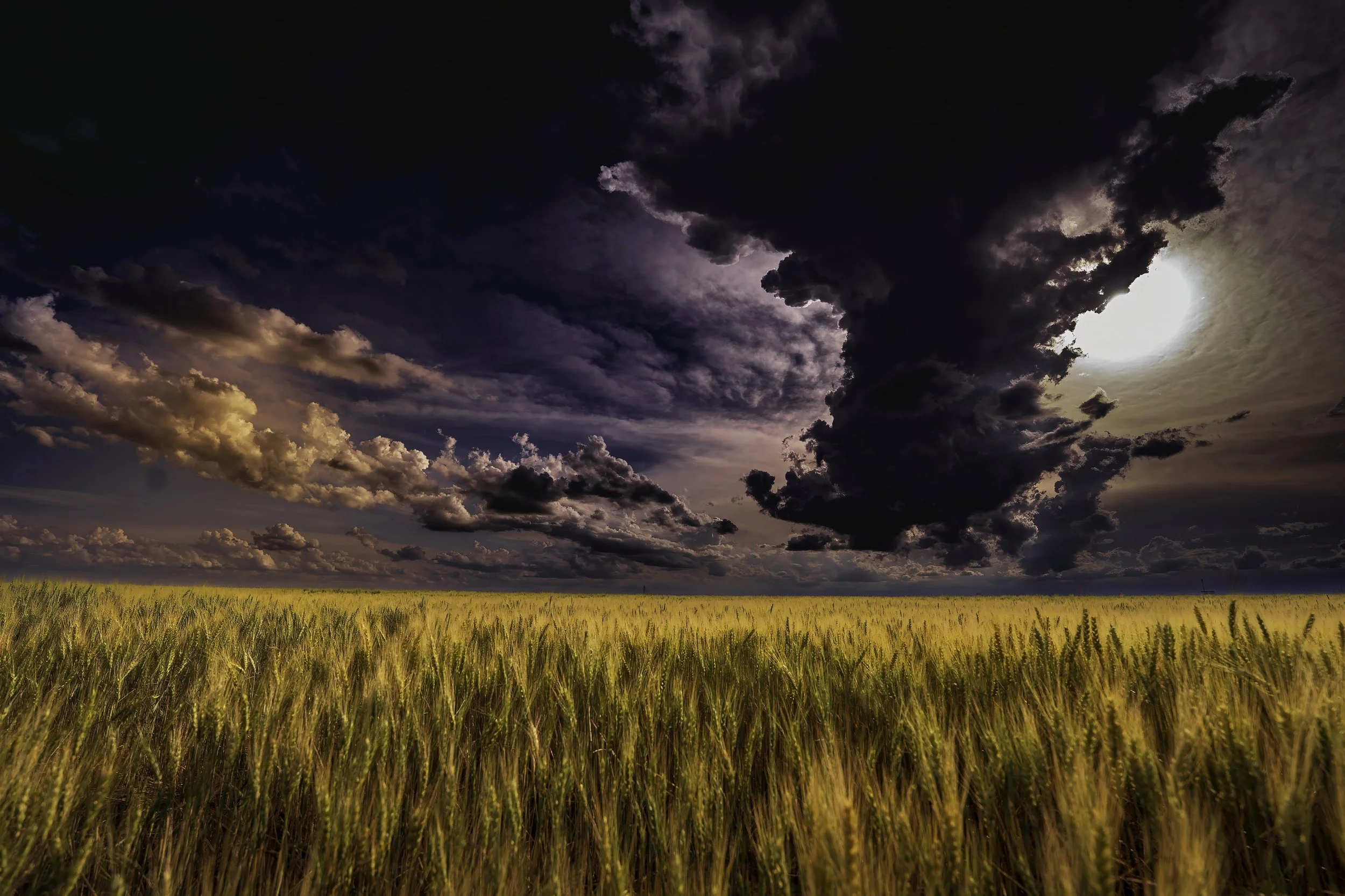 Before the Light Breaks