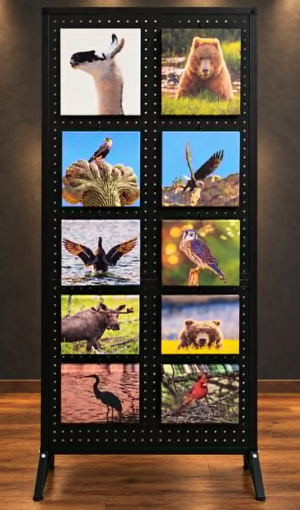 The Wild Horizon | 8x8 Premium Mini Canvas Prints