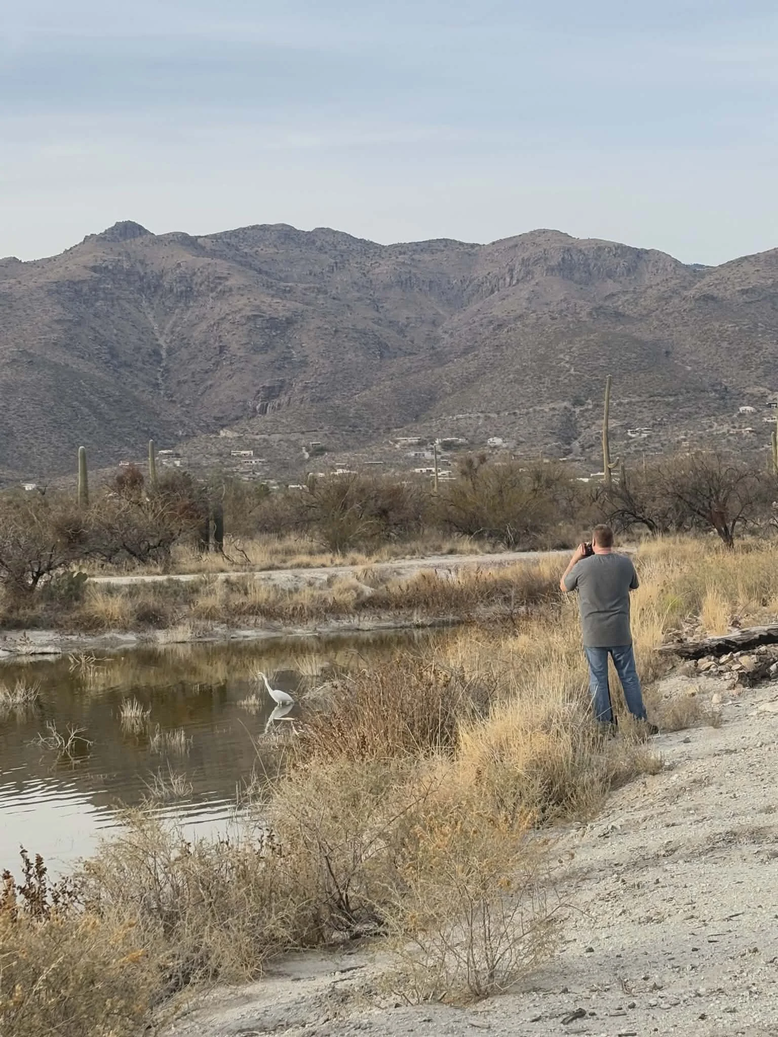 A man standing on the dirt edge of a small pond, taking a photo of a heron in the water. The scene is set in a desert with sparse bushes, cacti, and mountainous terrain in the background under a cloudy sky.