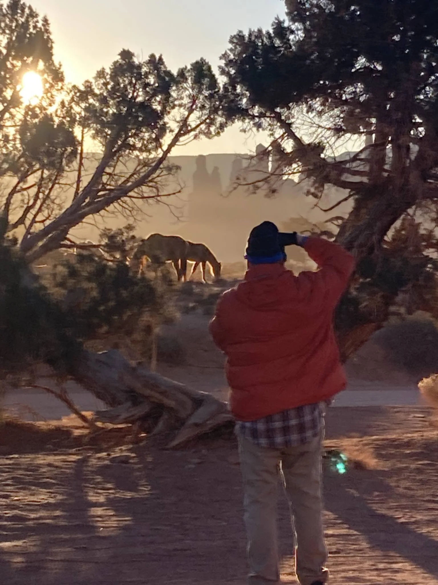 A person wearing a red jacket, plaid shirt, and beige pants stands outdoors during sunset, saluting or shielding their eyes while observing two elephants grazing near a tree.