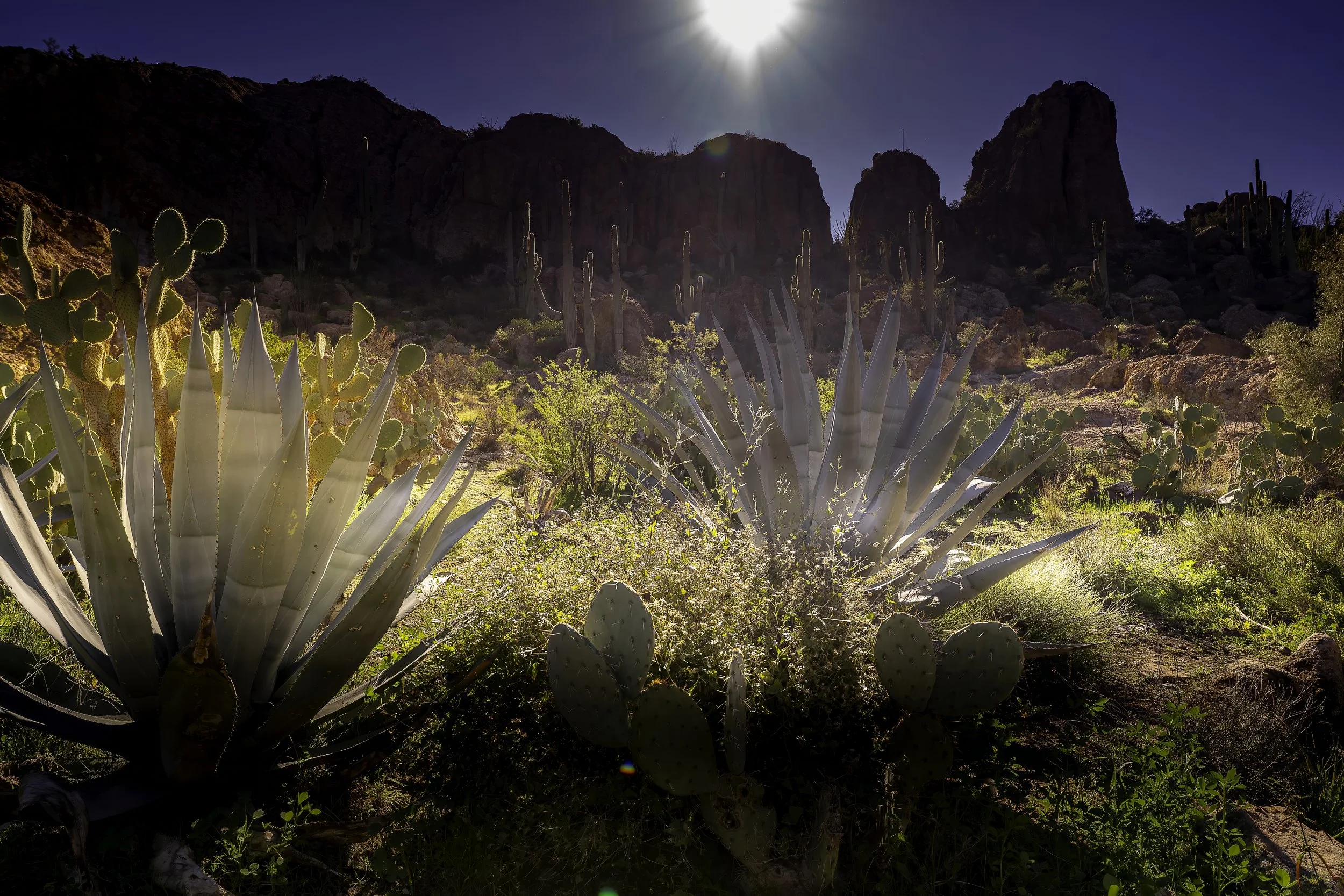 BO1BotgAR1-John A Smith photography-sharpen-sharpen-denoise.jpeg