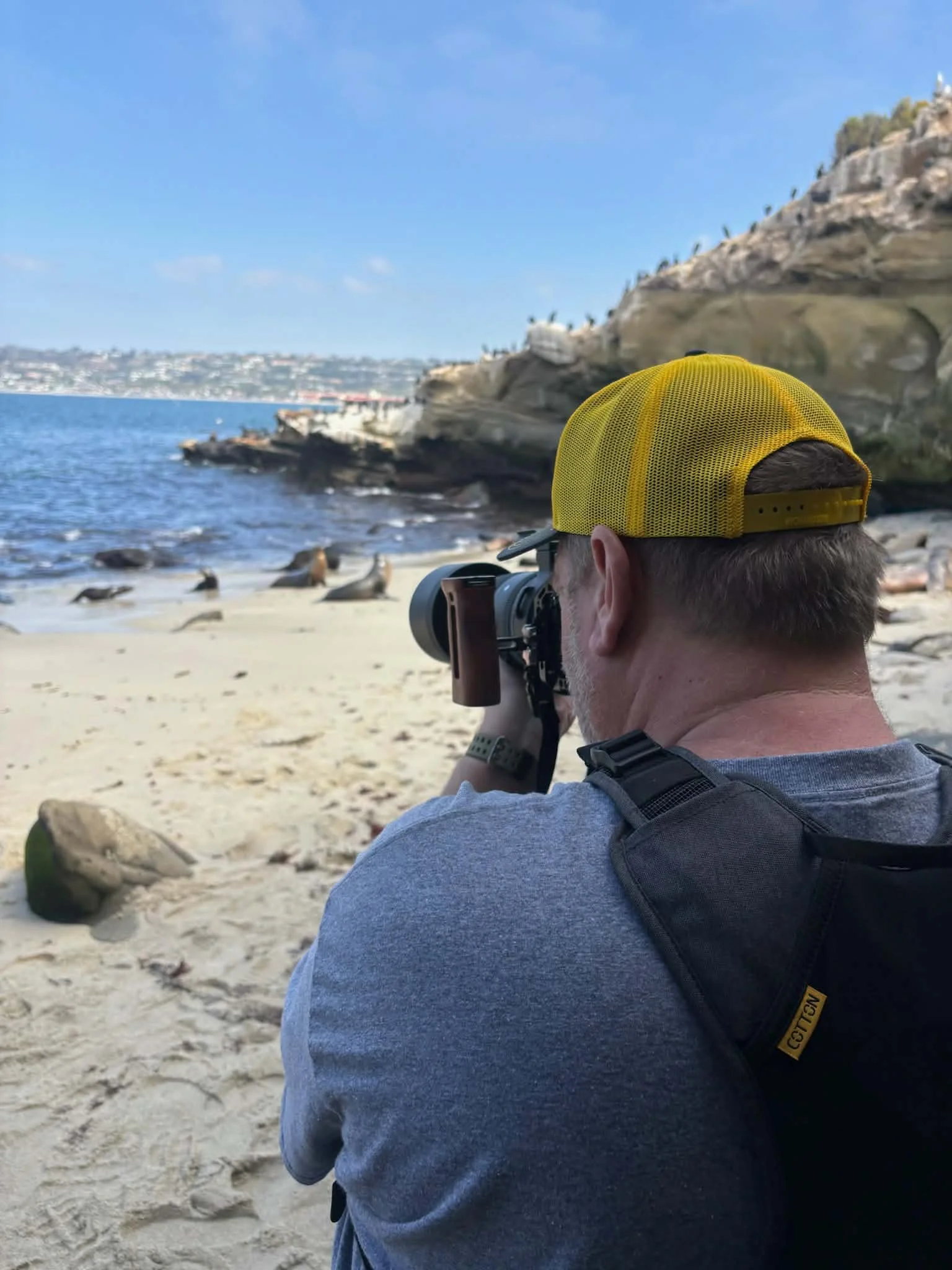 A person wearing a yellow cap and gray clothing takes a photograph of sea lions on rocks near the shoreline with a camera, on a sandy beach with a rocky cliff in the background and a blue sky.