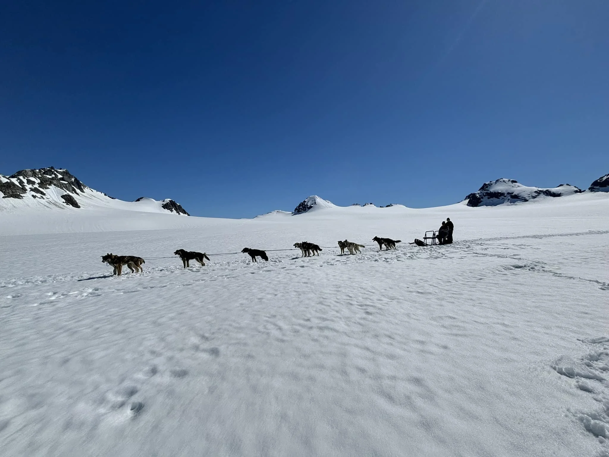 A person riding a dog sled pulled by six dogs across a snowy landscape with mountains in the background under a clear blue sky.
