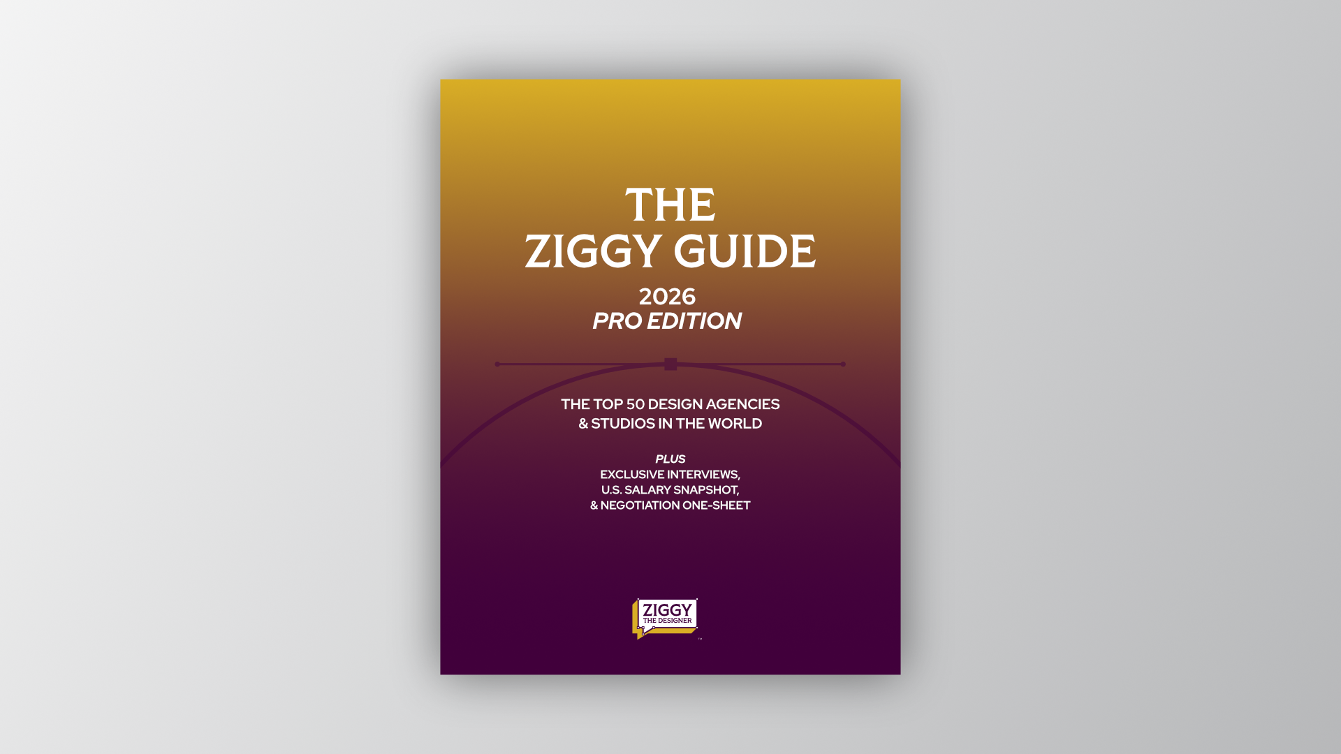 The Ziggy Guide Covers - PRO.png