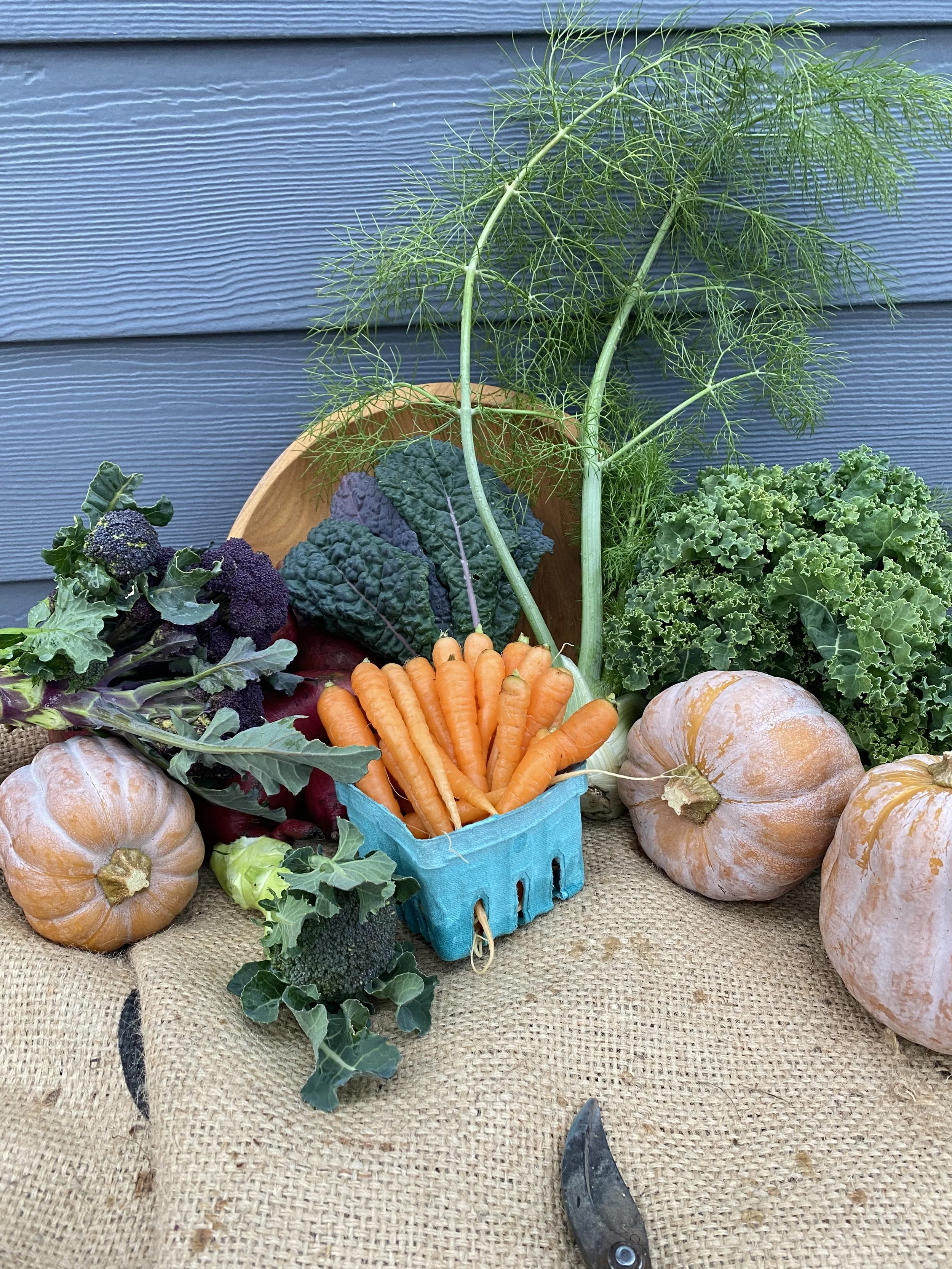 Fresh vegetables including carrots, pumpkins, broccoli, kale, and herbs displayed on burlap fabric against a wooden wall.
