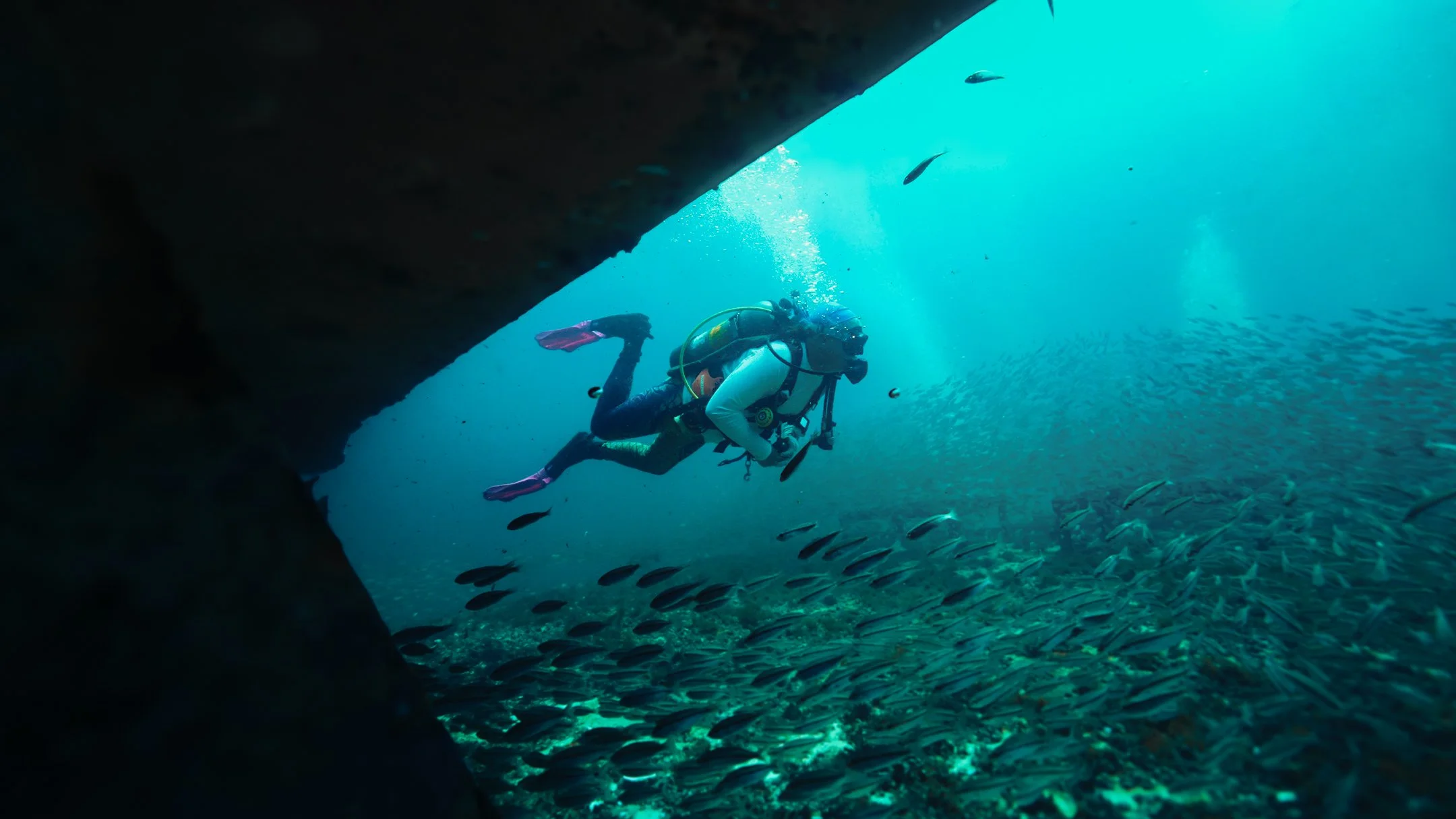 Scuba diver exploring underwater cave with school of fish.