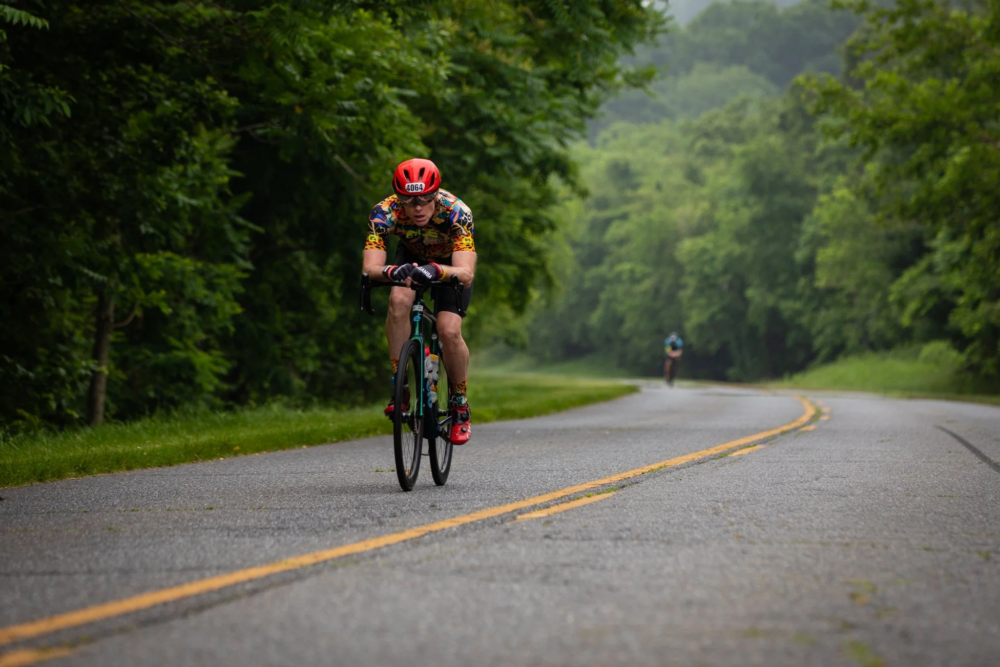 A person cycling on a rural road surrounded by green trees.