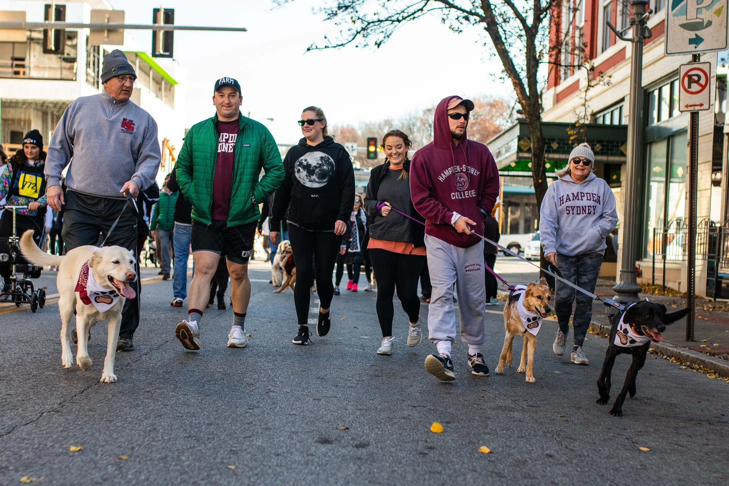 People walking dogs on a city street during a parade or event, wearing casual clothing.