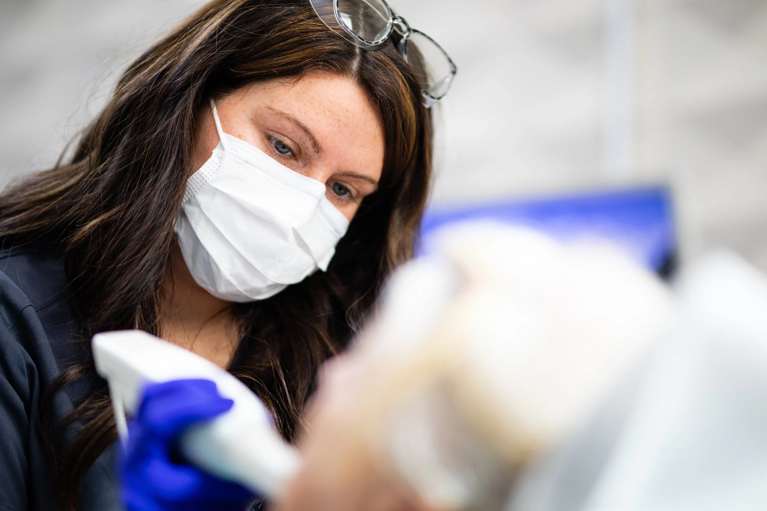 A woman wearing a face mask and glasses adjusts medical gloves while working in a clinical setting.