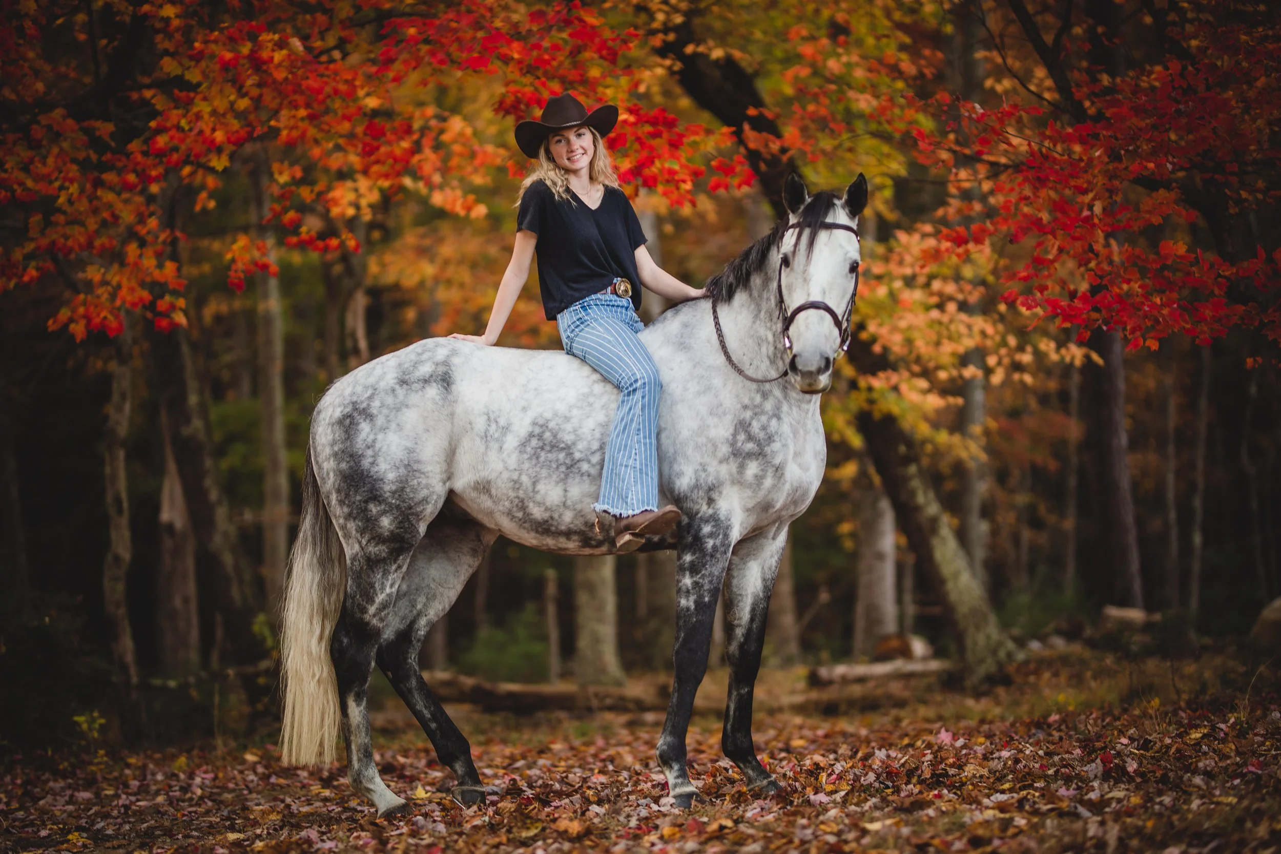 A young girl rides a gray and white horse in a forest with fall foliage. She is wearing a cowboy hat, black shirt, and striped jeans.