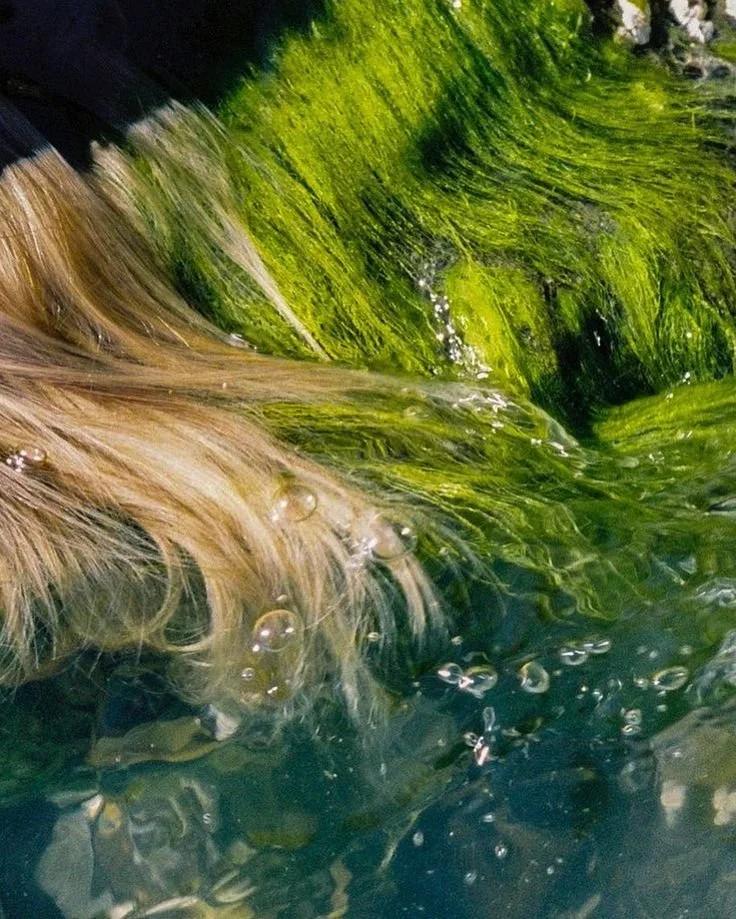 in your element - 1:1 Somatic Coaching Container