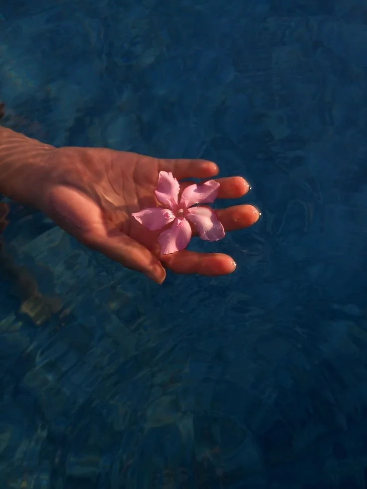 1:1 Somatic coaching session (60 minutes)