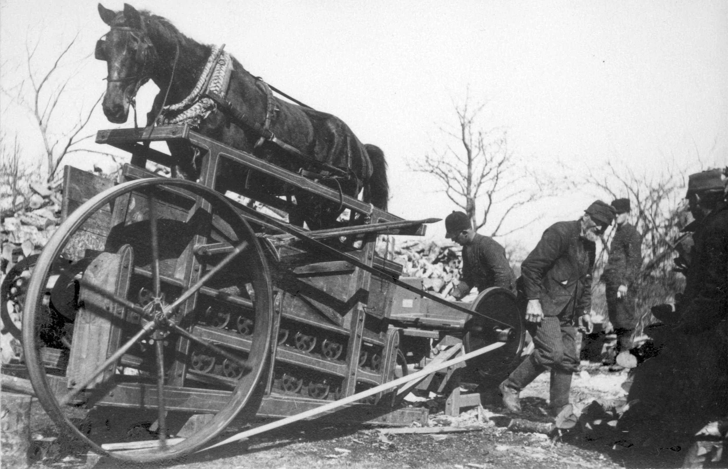 Horse-powered firewood saw n.d.
Photo by Henry D. Allison