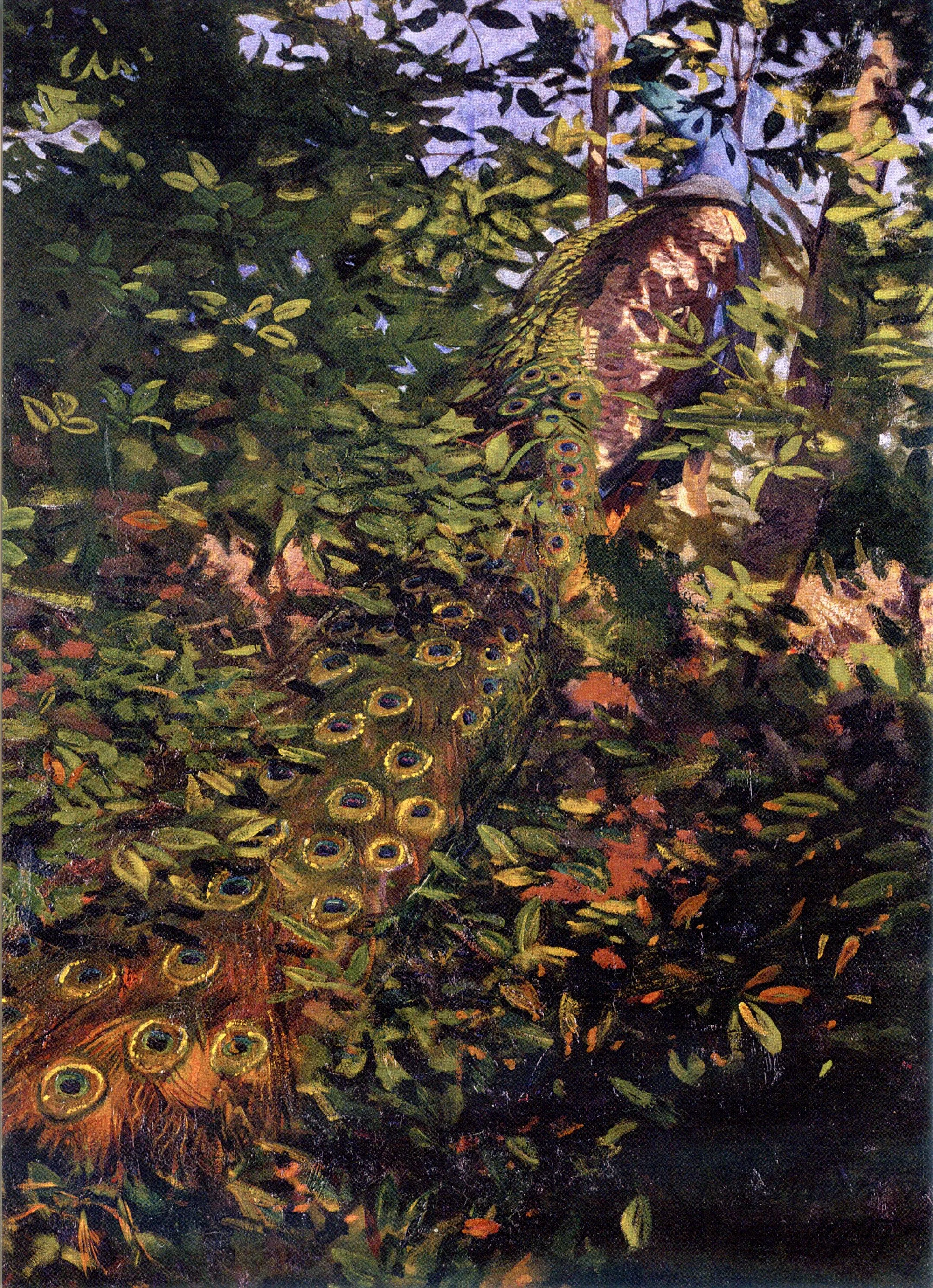 Peacock, 1907 - A painting by Abbott Thayer and Richard Meryman, was used as an illustration to represent Thayer’s theories of concealing coloration, the early exploration of what came to be called camouflage.