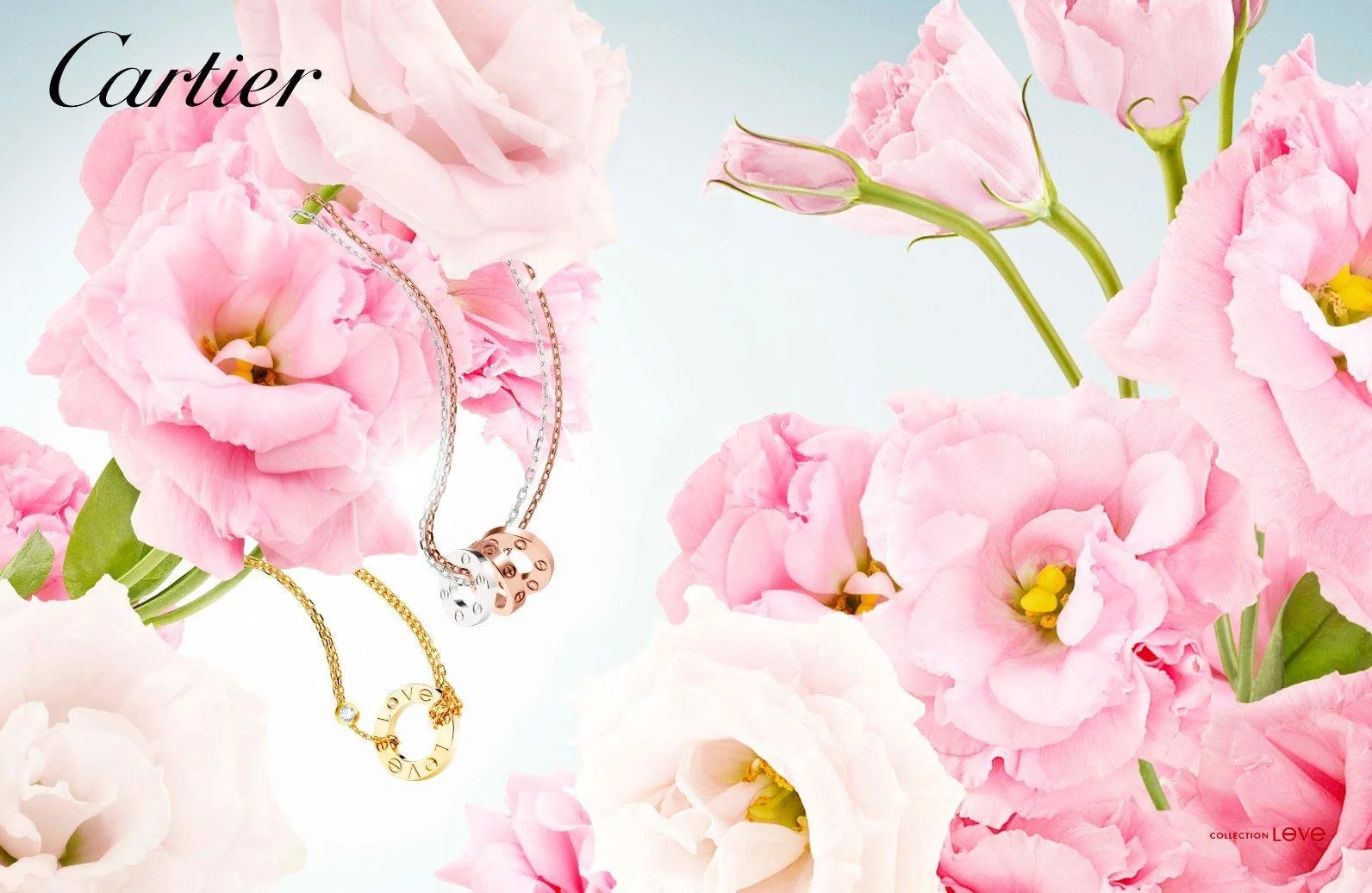 THE LANGUAGE OF LOVE