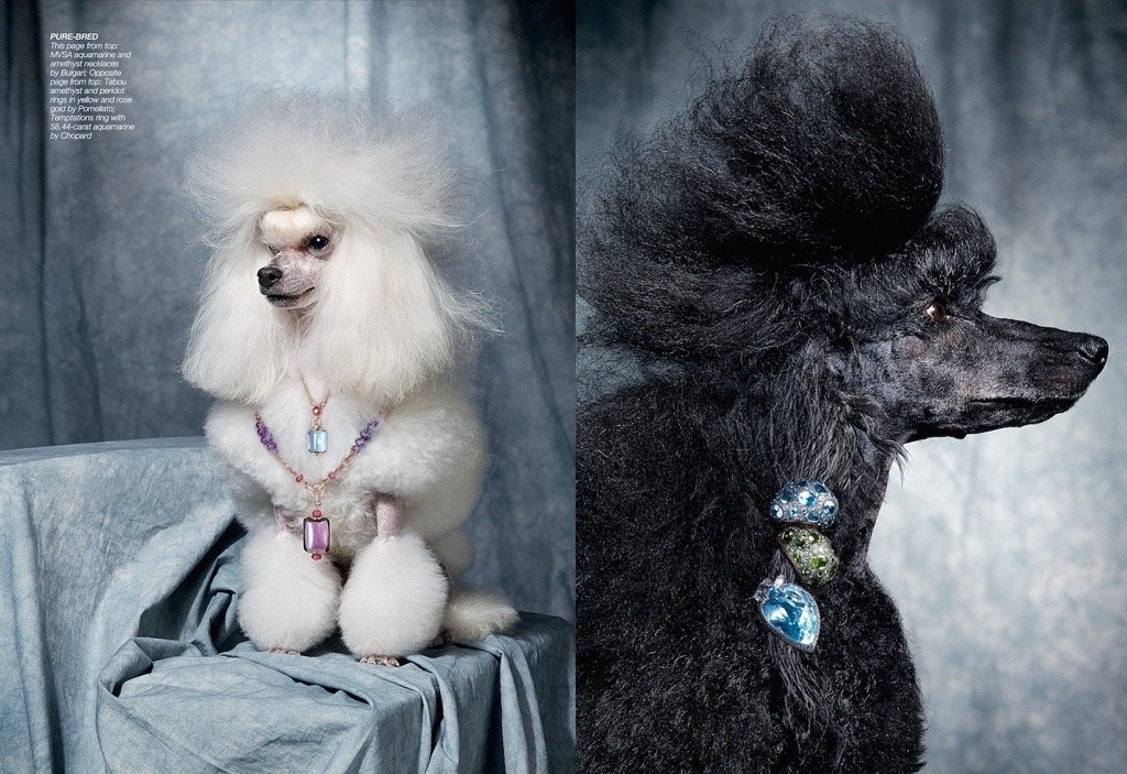 PRECIOUS LITTLE THINGS