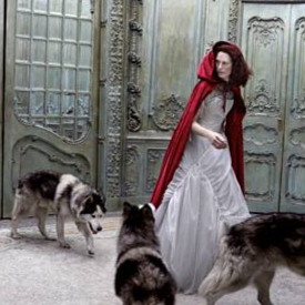INTO THE WOODS