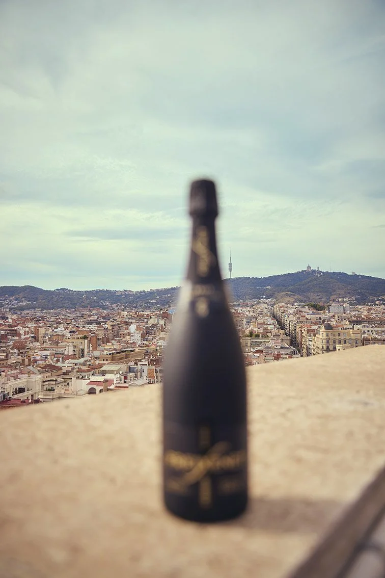 Alberto Escudero_13_Freixenet 14.jpeg