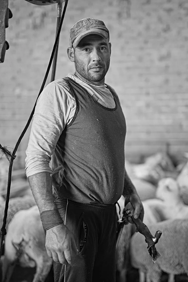 Alberto Escudero_30_Sheep Shearers 1.jpeg