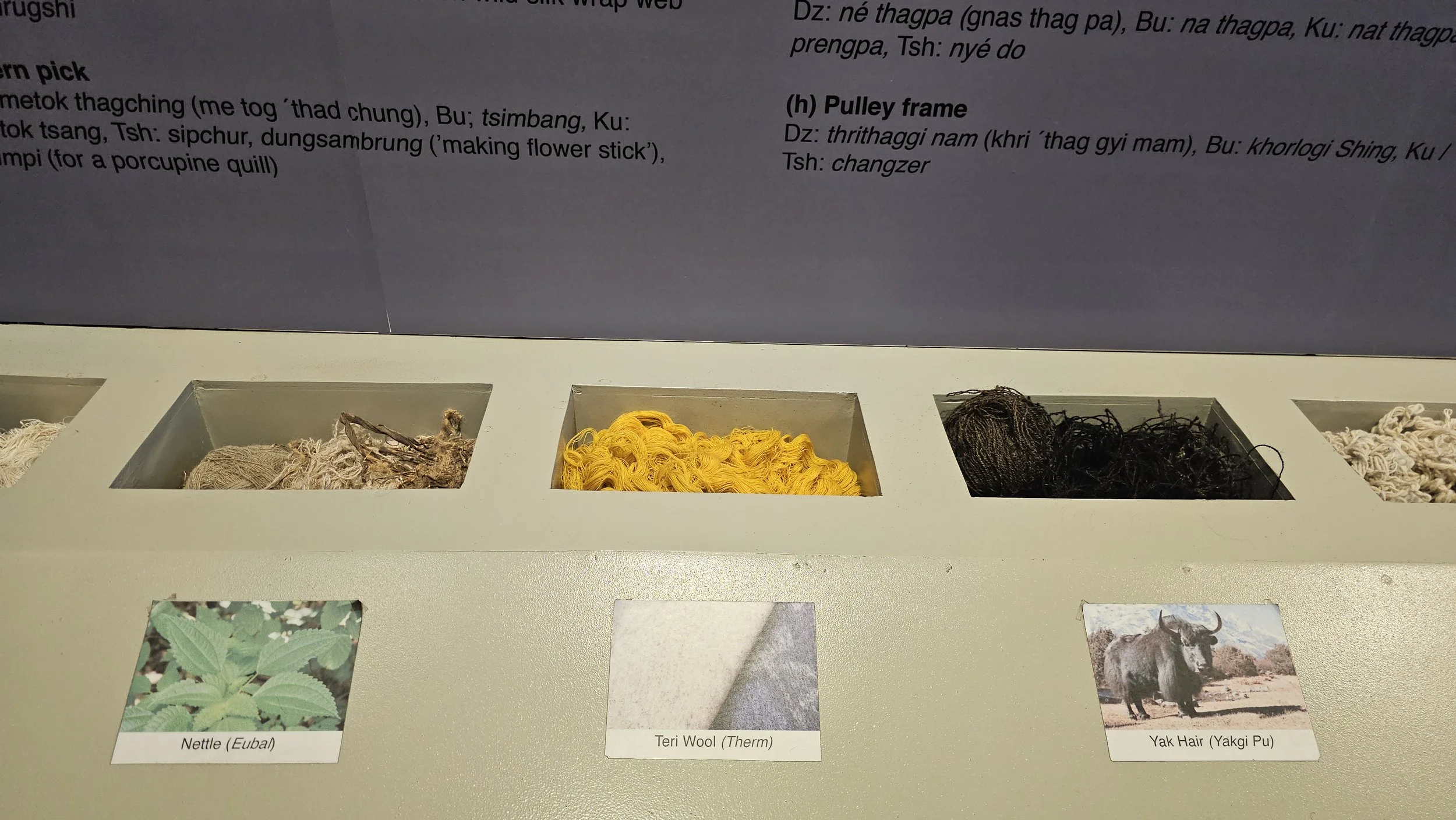 20260316_094011.jpg