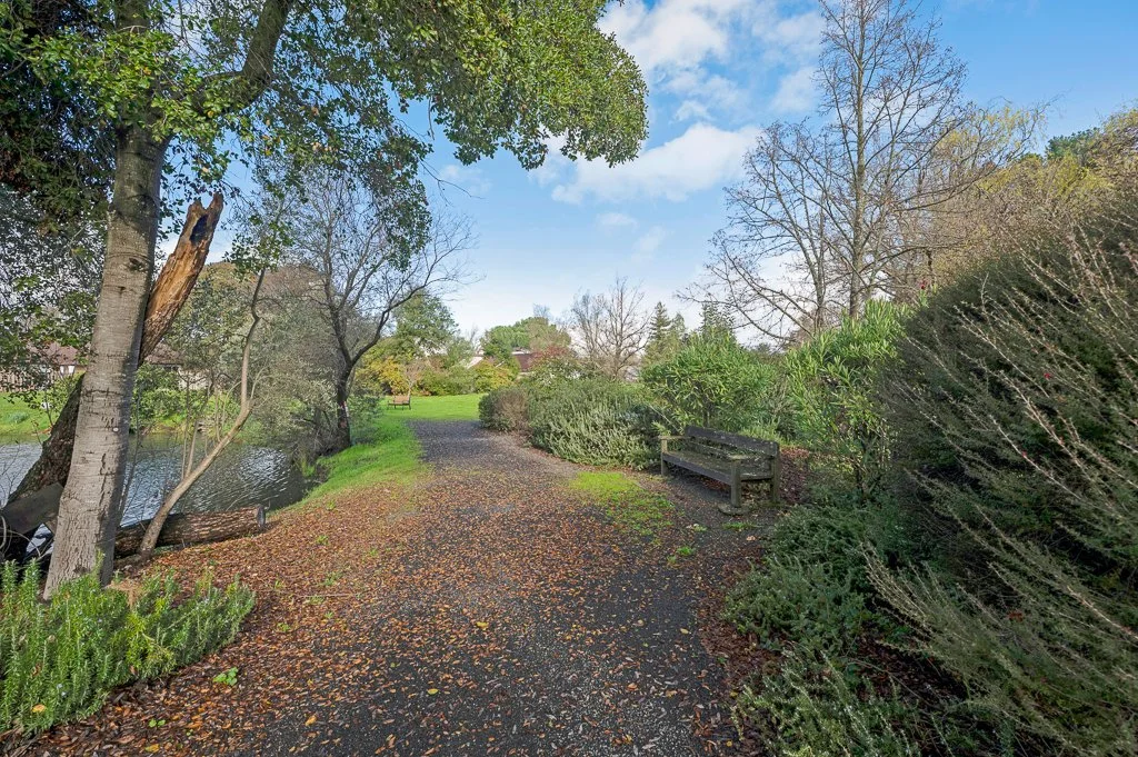 A peaceful park pathway, with a bench on the right side, trees, shrubs, and water on the left, under a blue sky with some clouds.