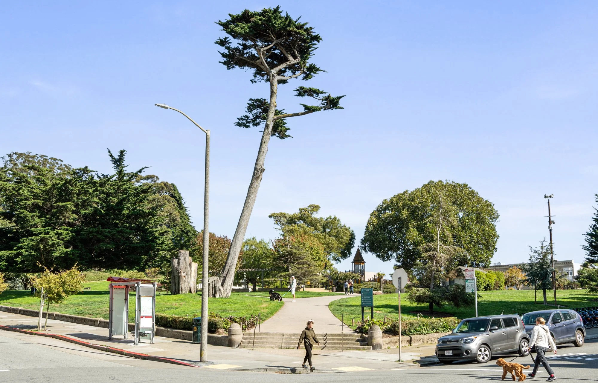 A park with green trees, a pathway, a flagpole, and people walking. There are cars parked nearby, and a person walking a dog across the street.