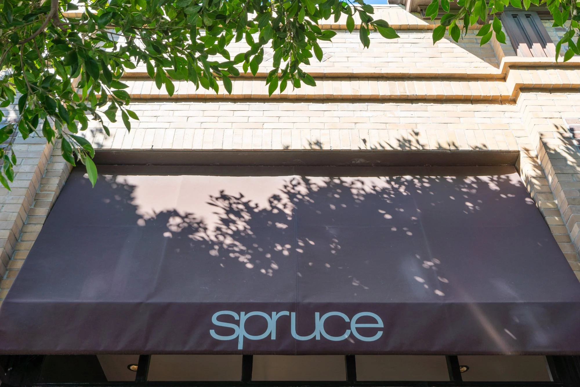 Storefront with a black awning that has the word 'spruce' written on it in lowercase light blue letters. There are leaves and branches casting shadows on the awning and a brick building above it.
