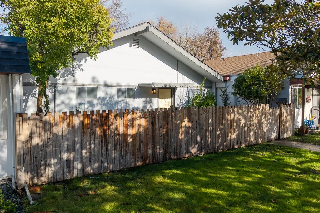 A backyard scene with a tall wooden fence, green grass, and several trees with foliage. There is a house with a sloped roof, white siding, and small windows in the background. Shadows of trees cast across the fence and yard, and the sky is clear with