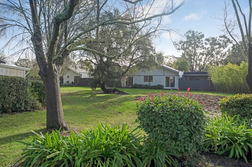 A backyard with a large tree, green bushes with pink flowers, and a house in the background under a partly cloudy sky.