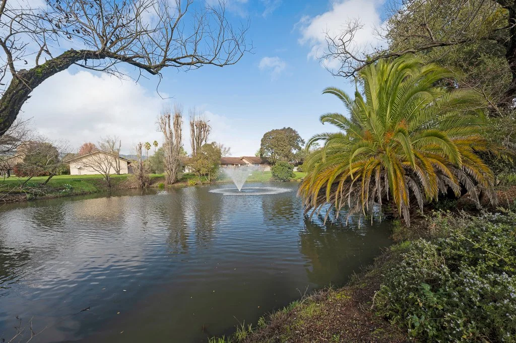 A peaceful pond surrounded by trees and shrubs, with a fountain in the middle and houses visible in the background under a partly cloudy sky.